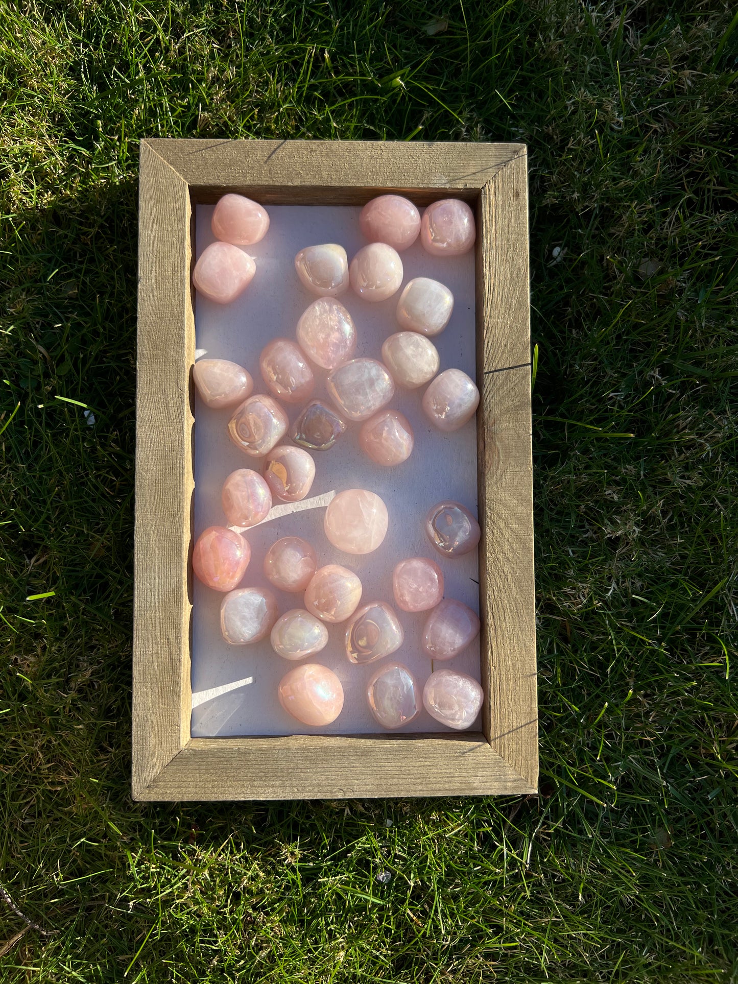 Angel Aura Rose Quartz Tumbles