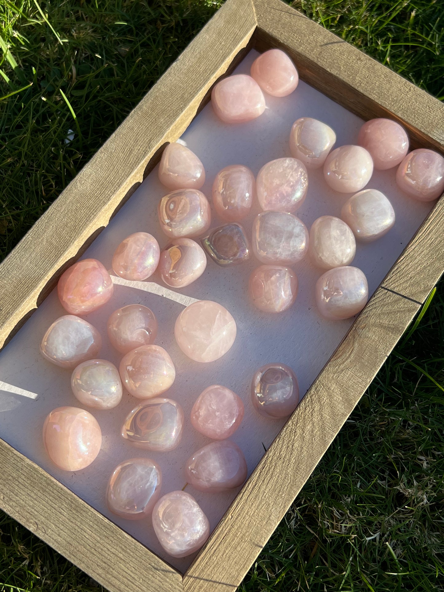 Angel Aura Rose Quartz Tumbles