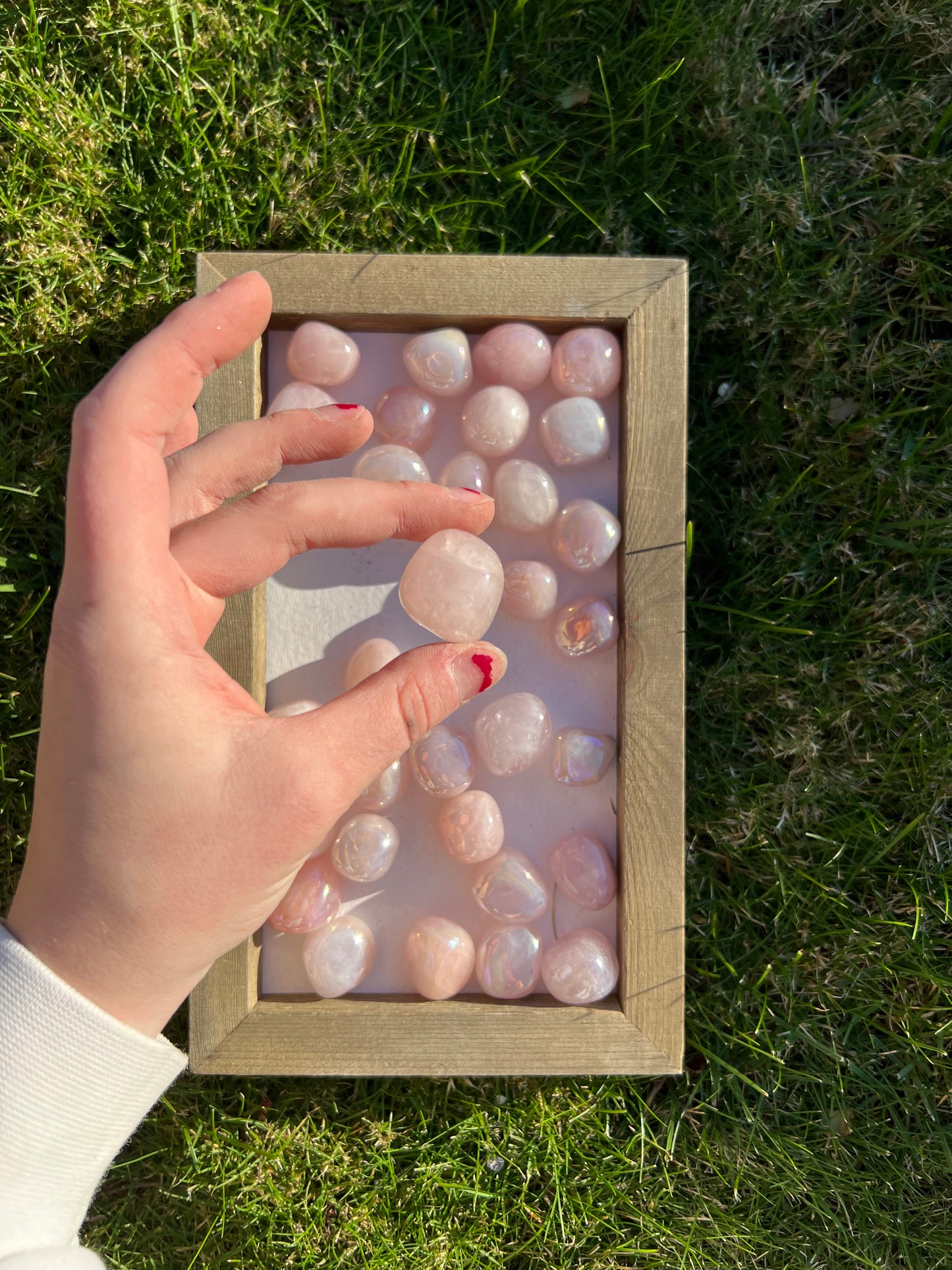 Angel Aura Rose Quartz Tumbles