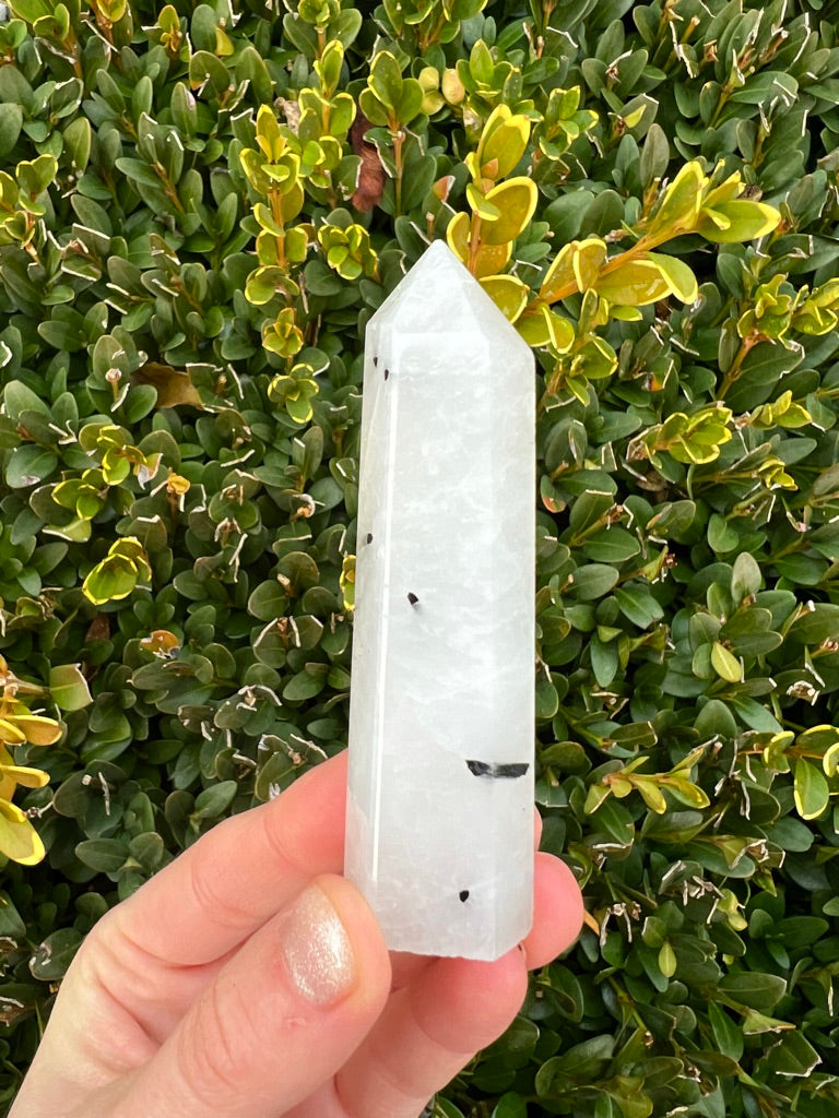 Black Tourmaline in Clear Quartz Points