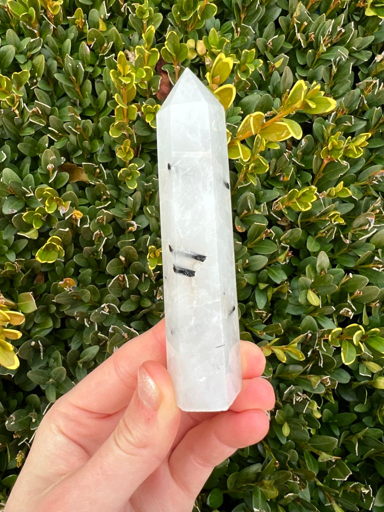 Black Tourmaline in Clear Quartz Points