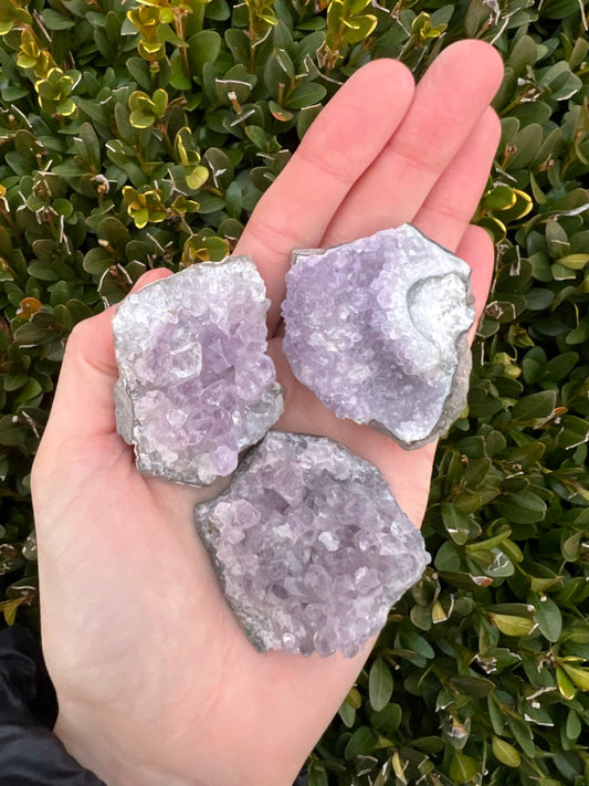 Mini Amethyst Clusters