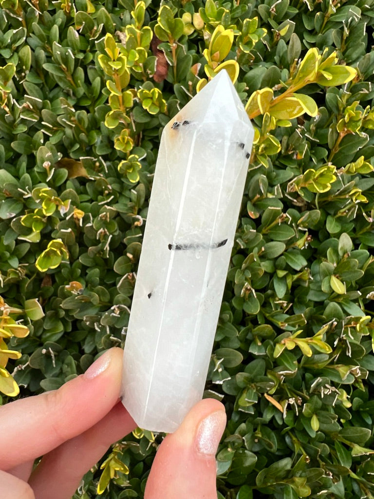 Black Tourmaline in Clear Quartz Points