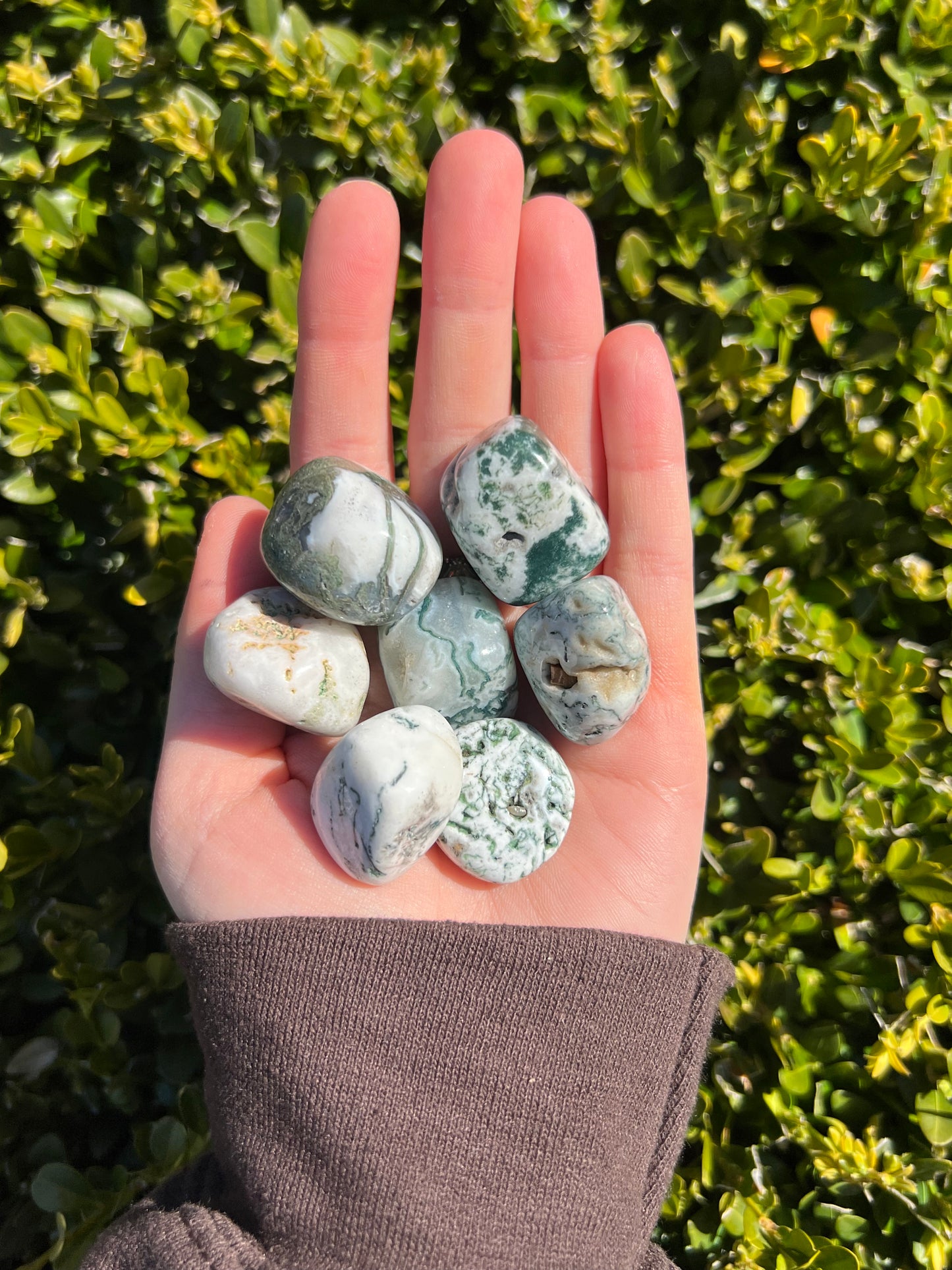 Moss Agate Tumbles