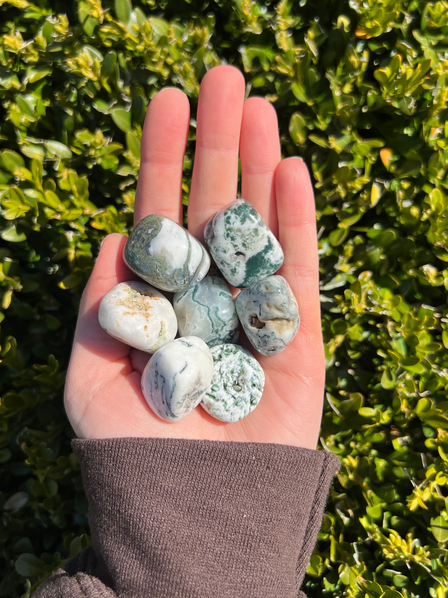 Moss Agate Tumbles