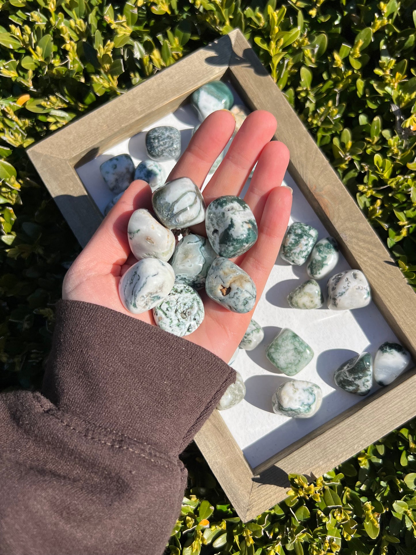 Moss Agate Tumbles