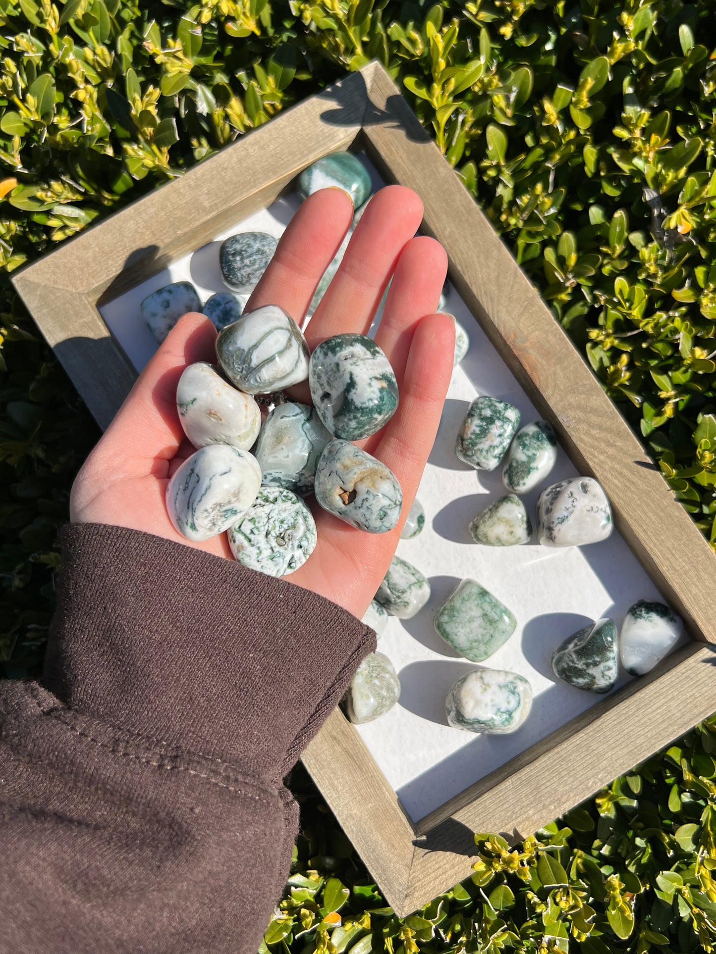 Moss Agate Tumbles