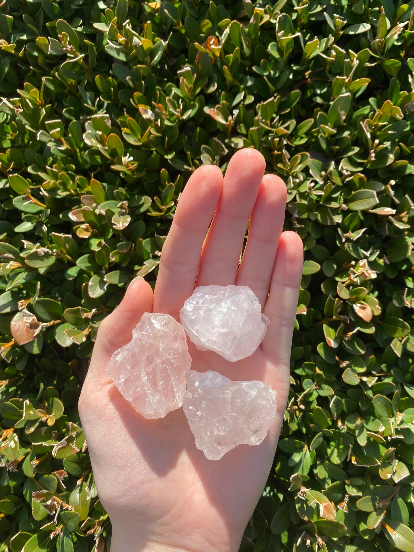 Rose Quartz Small Raw Pieces