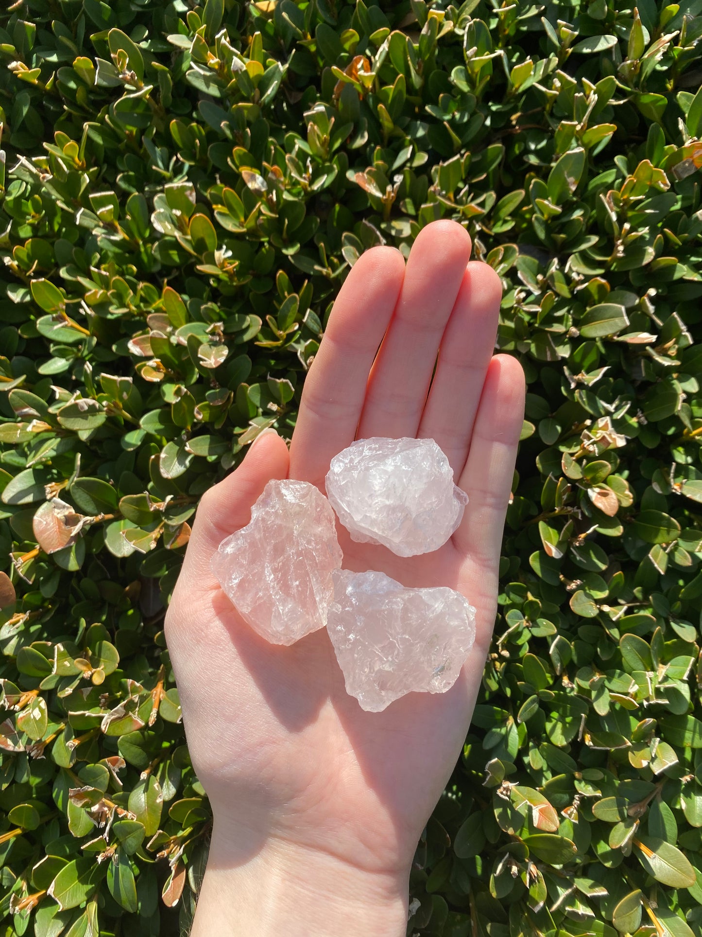 Rose Quartz Small Raw Pieces