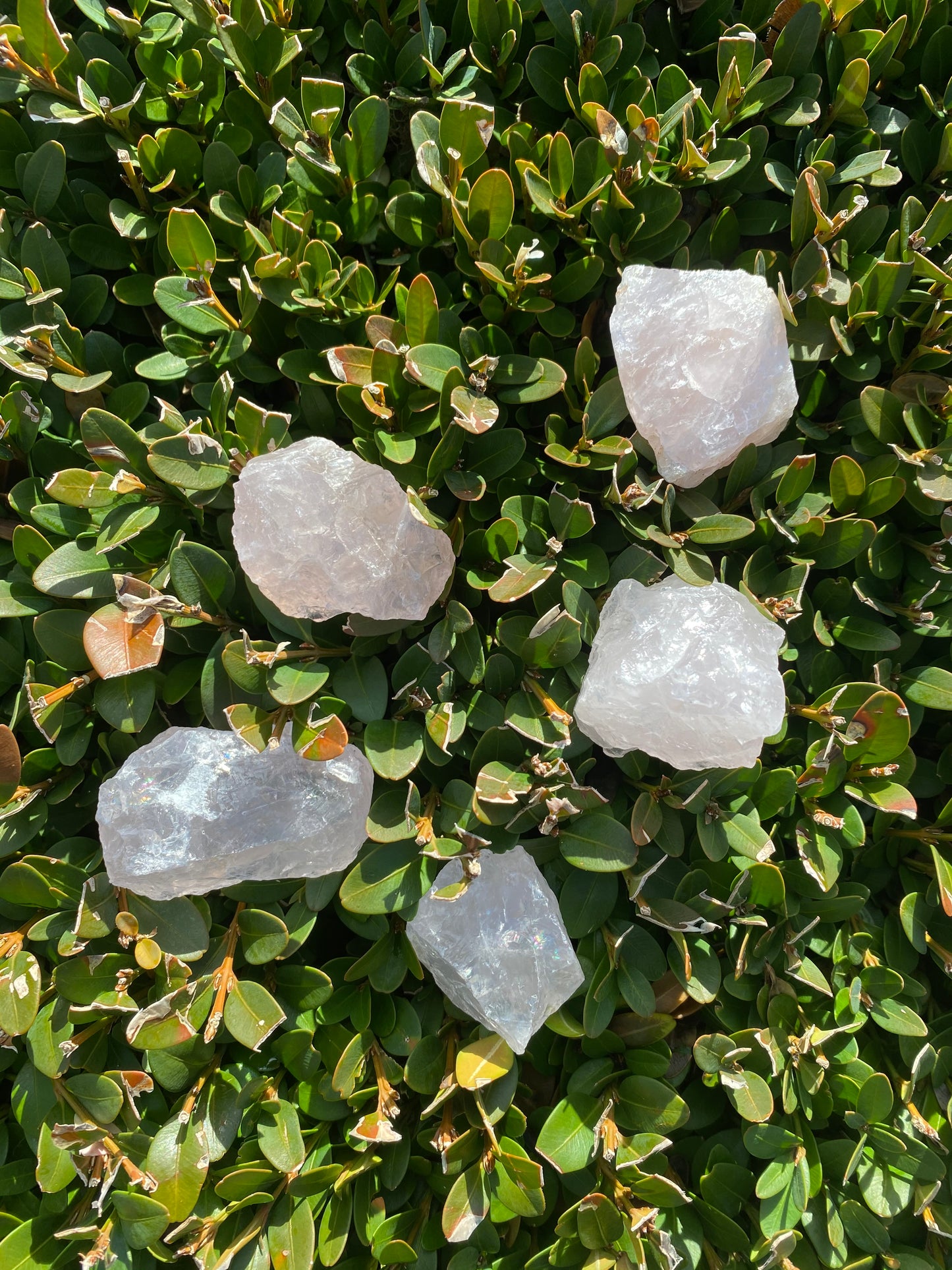 Rose Quartz Small Raw Pieces