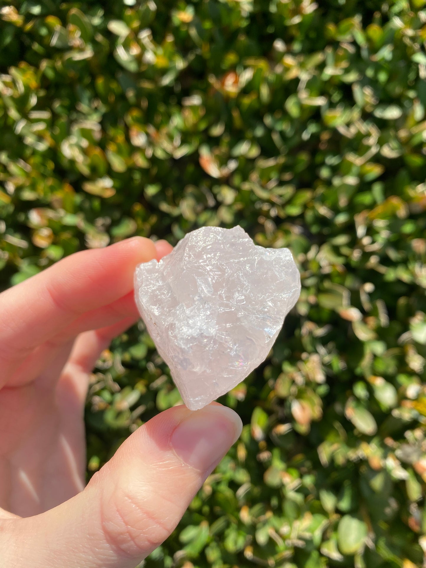 Rose Quartz Small Raw Pieces