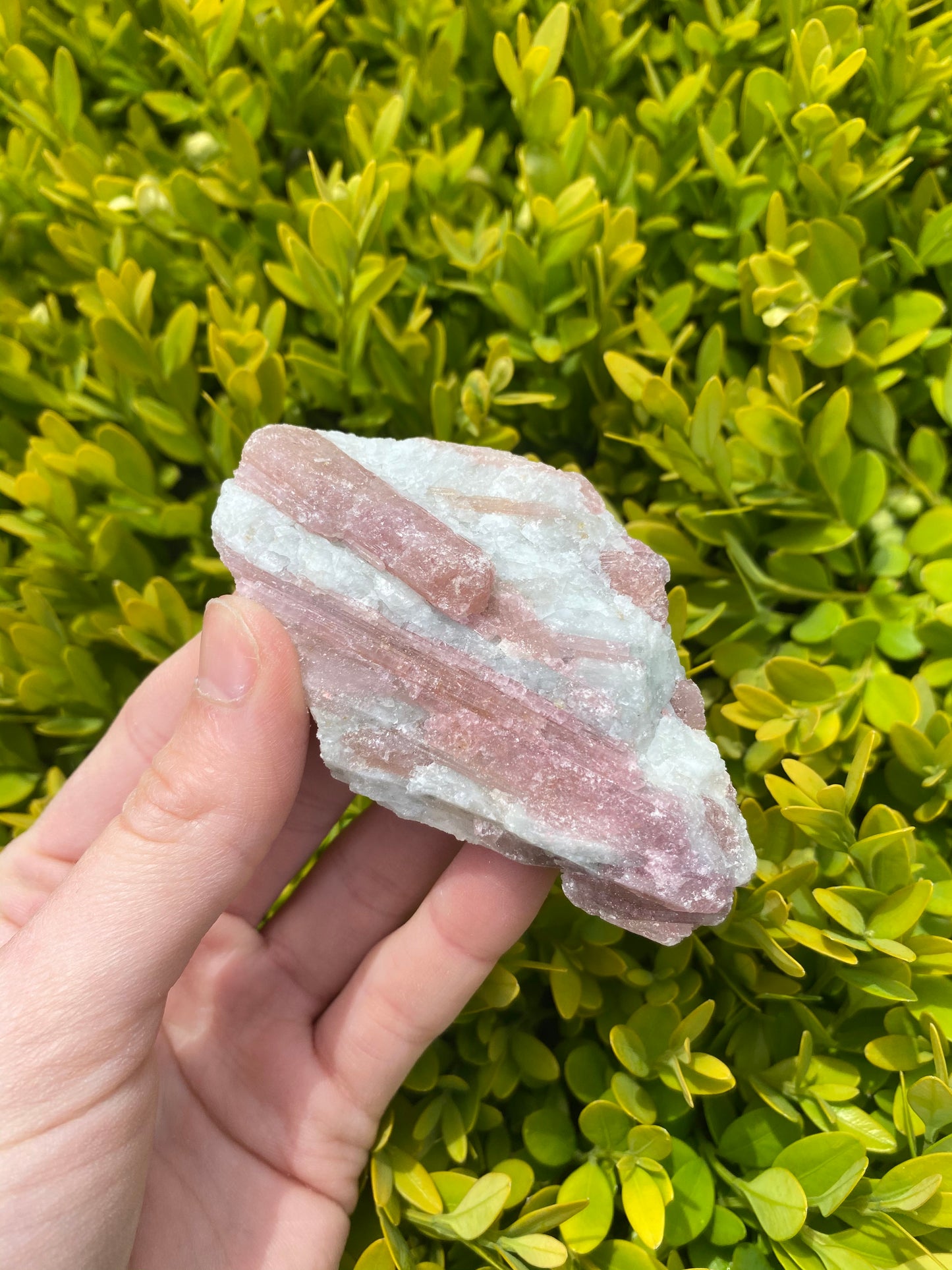 Pink Tourmaline in Matrix Pieces