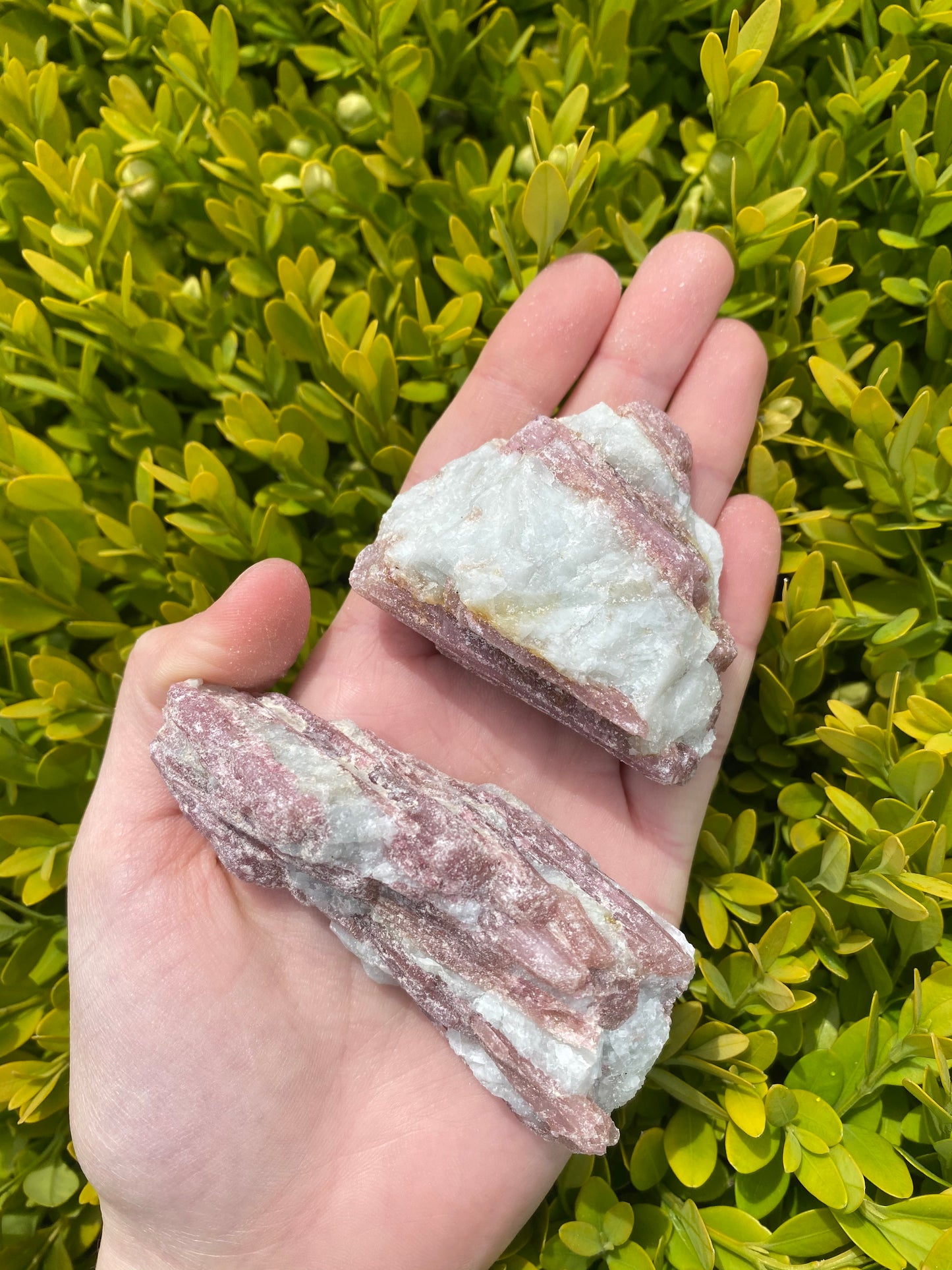 Pink Tourmaline in Matrix Pieces