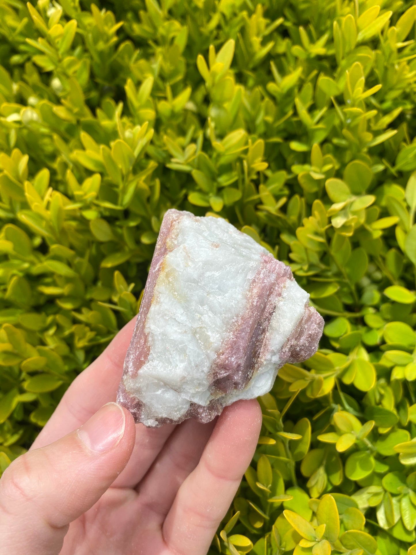 Pink Tourmaline in Matrix Pieces