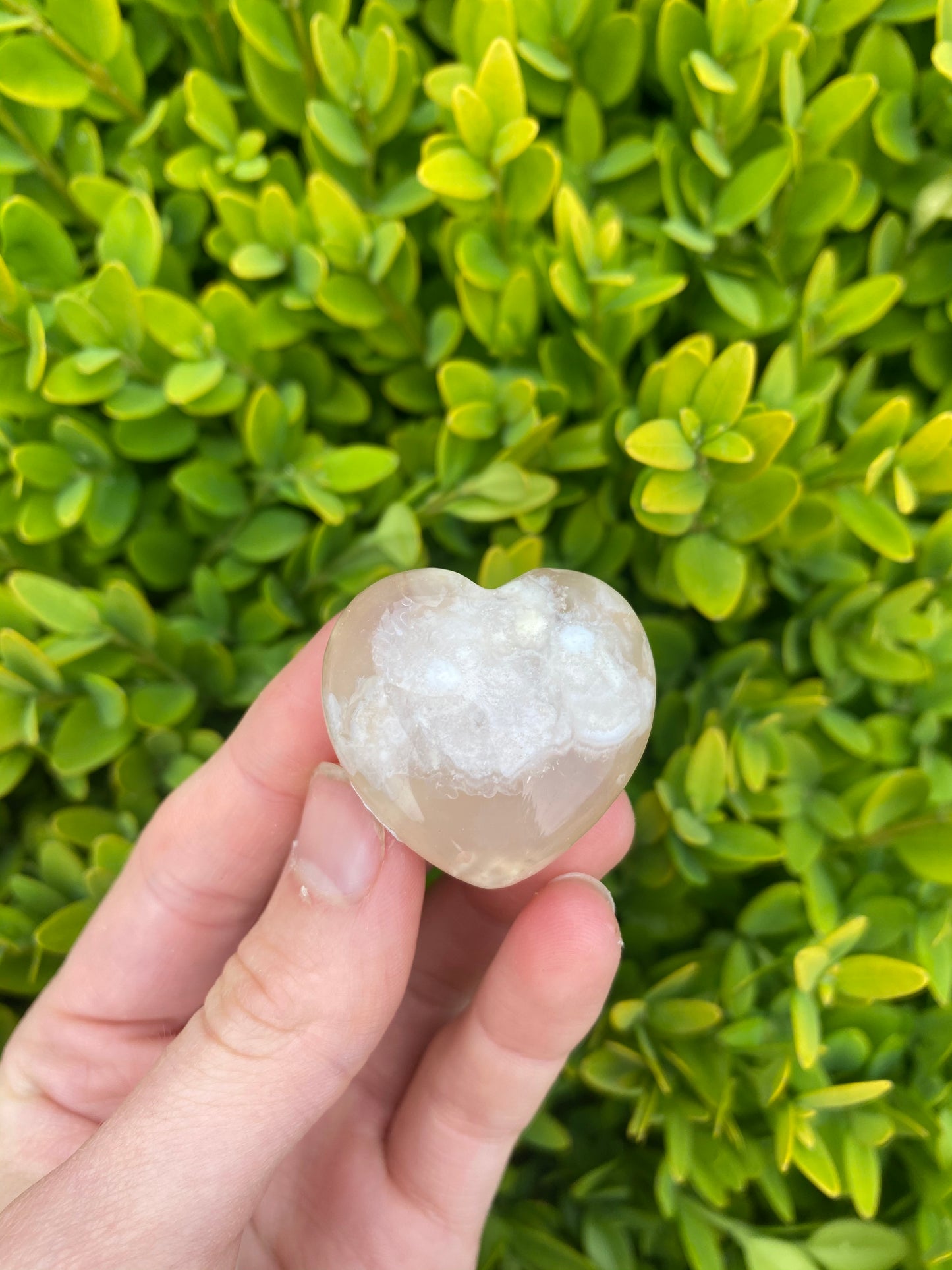 Flower Agate Hearts