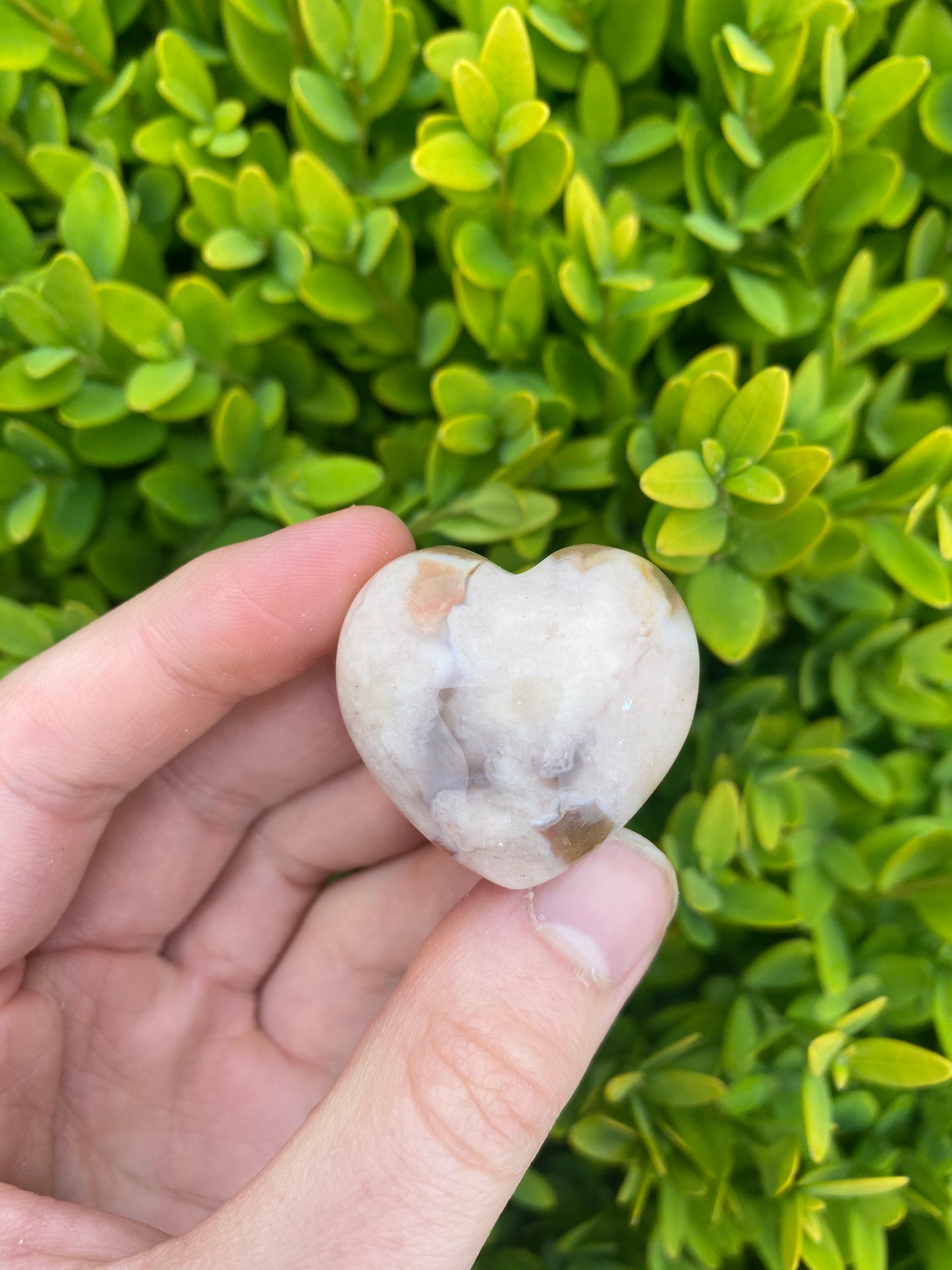 Flower Agate Hearts