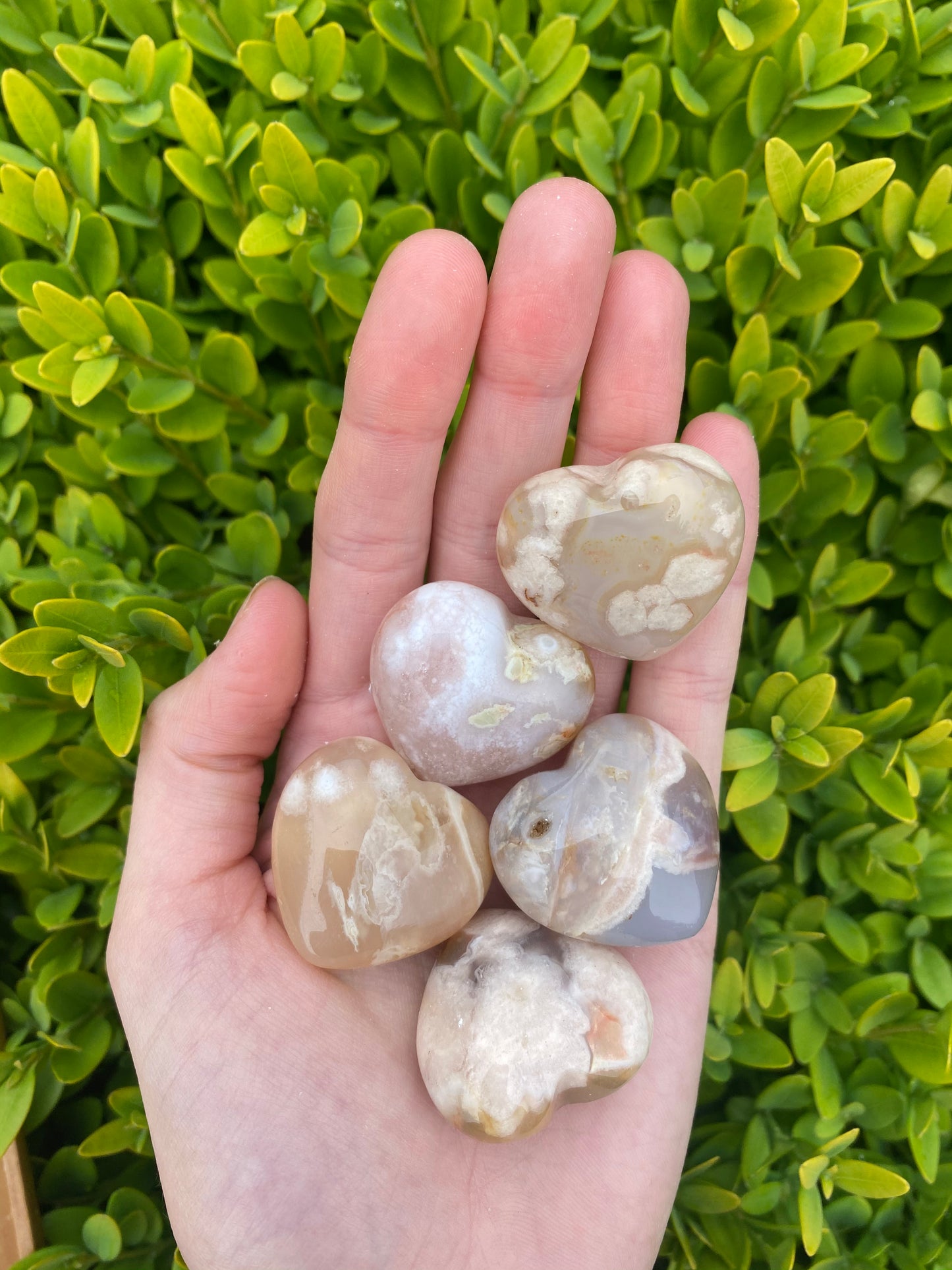 Flower Agate Hearts