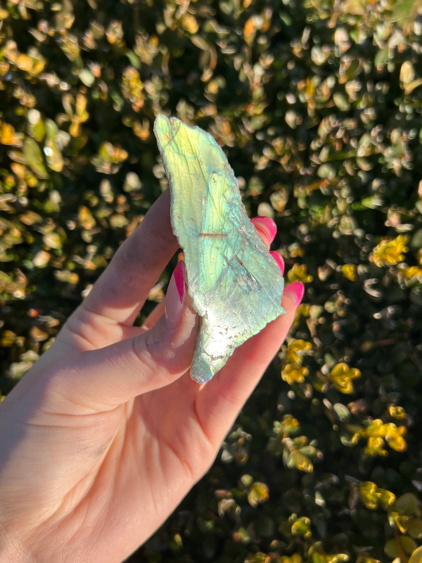 Labradorite Raw Slabs