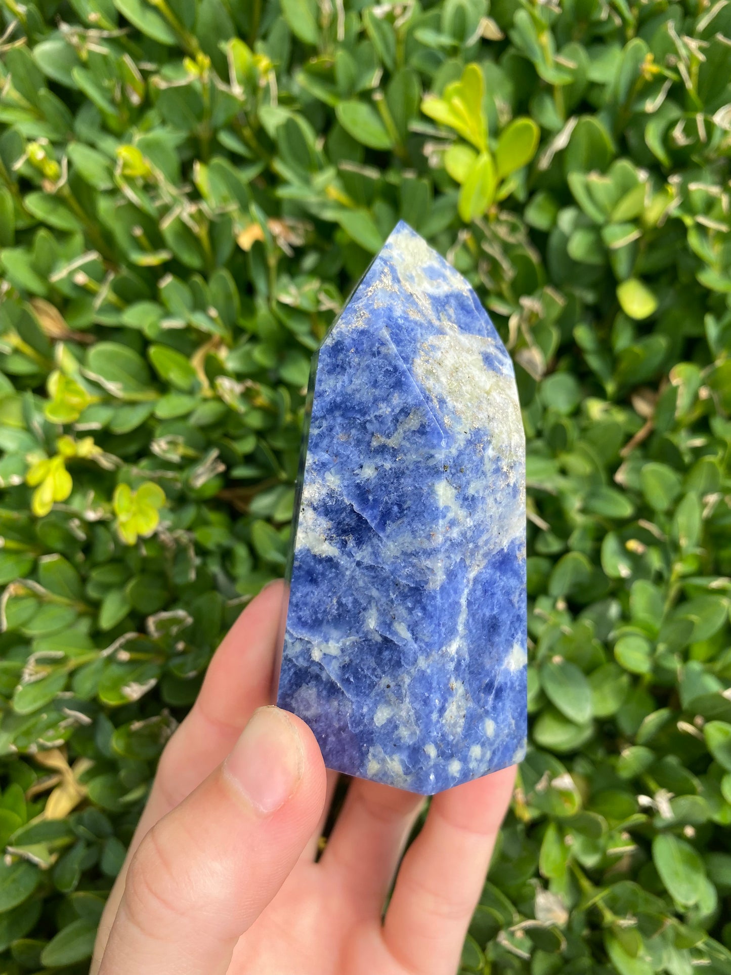 Sodalite Points