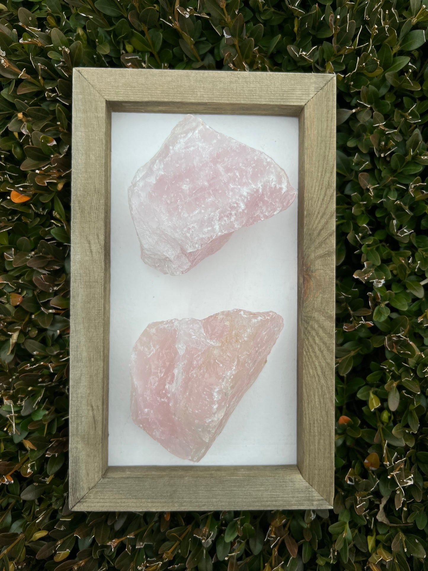 Rose Quartz Raw Pieces