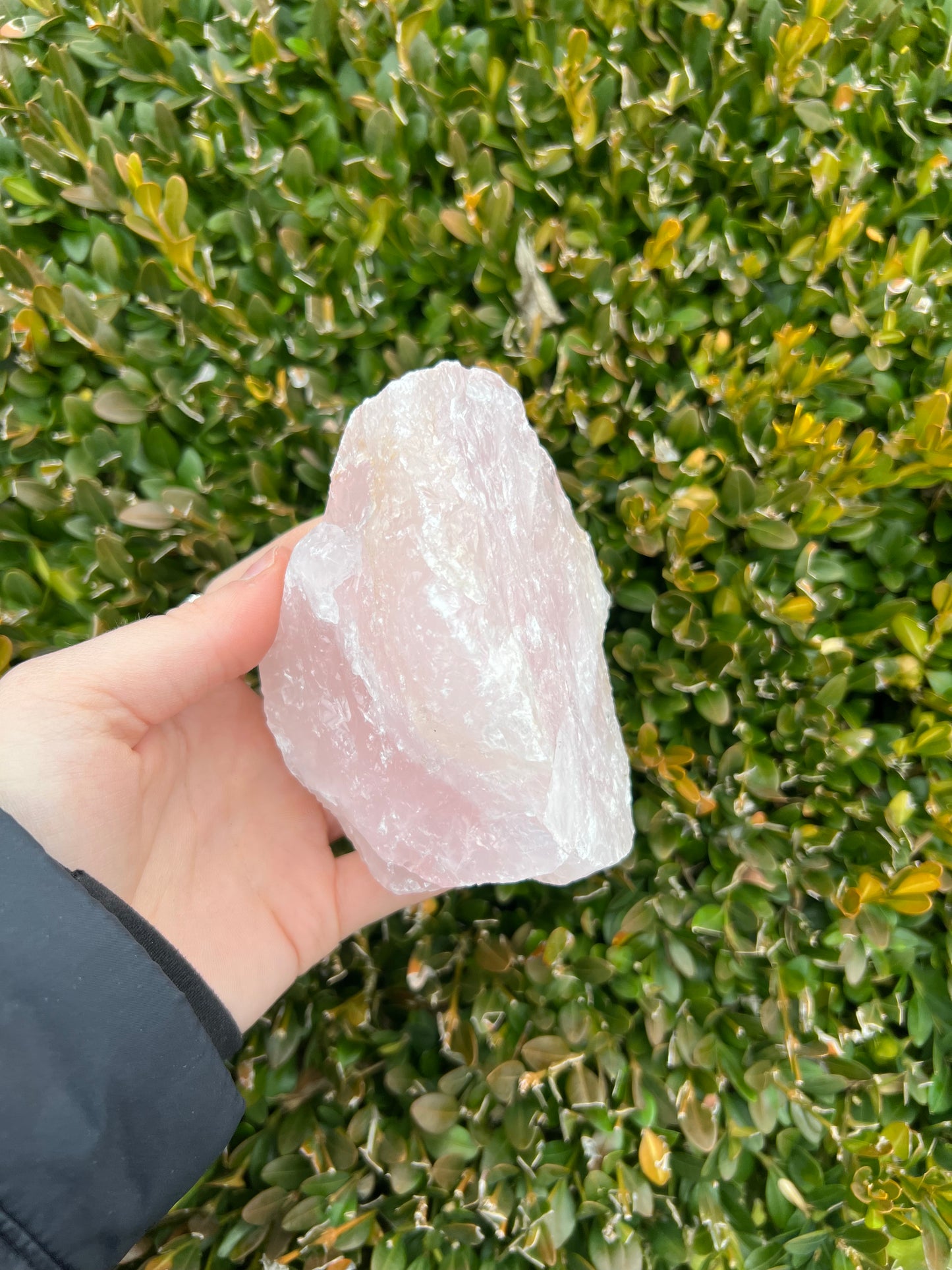 Rose Quartz Raw Pieces