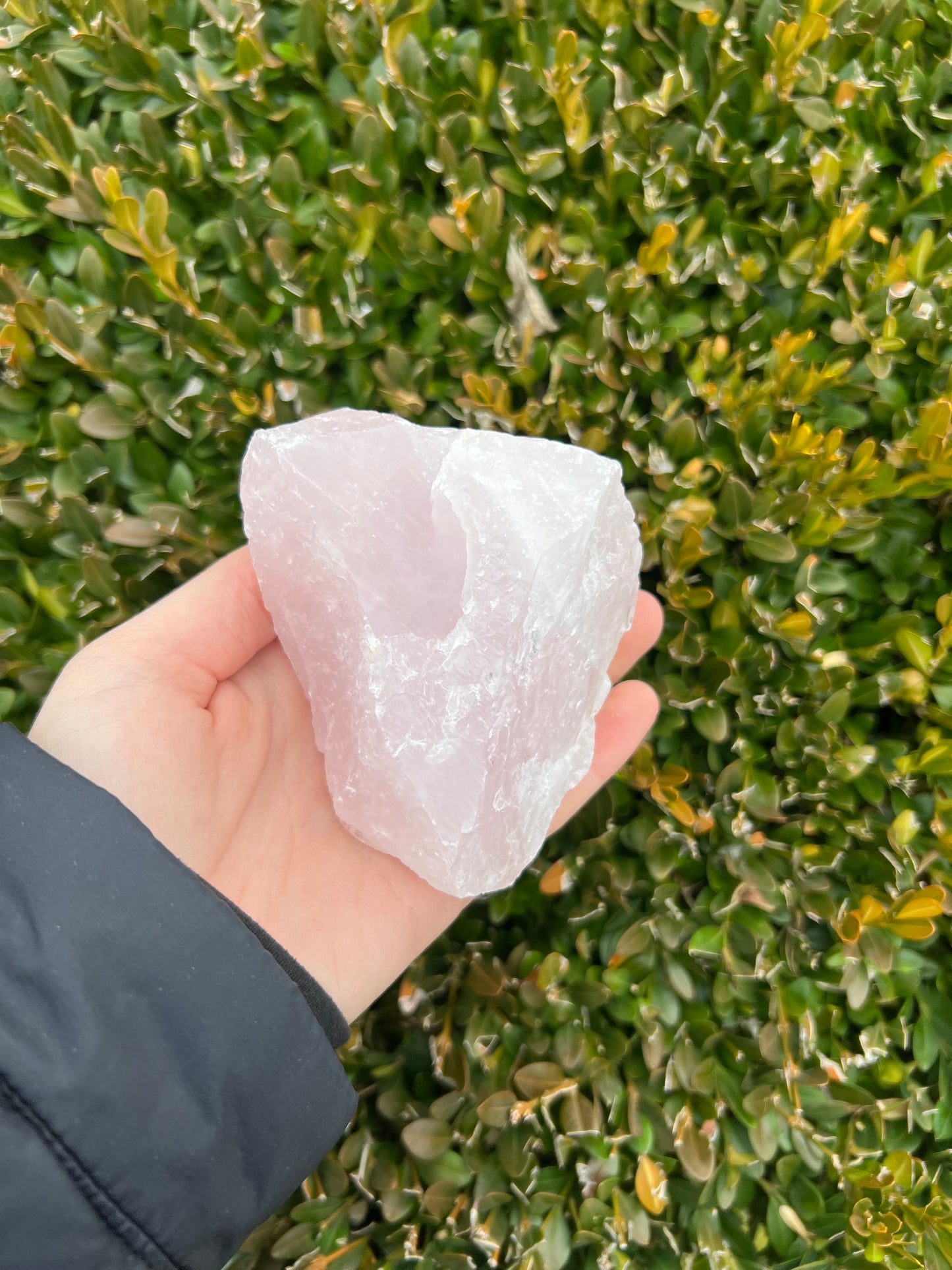 Rose Quartz Raw Pieces