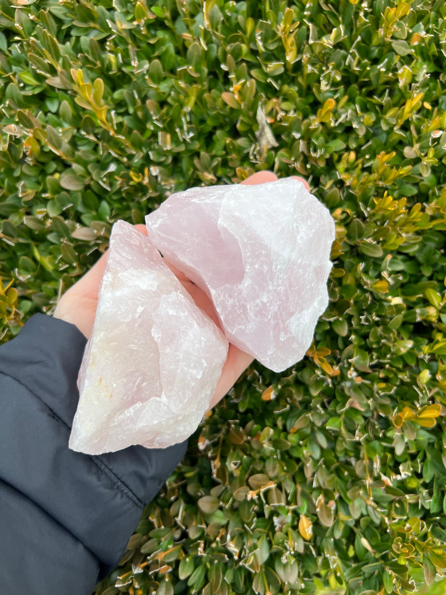 Rose Quartz Raw Pieces