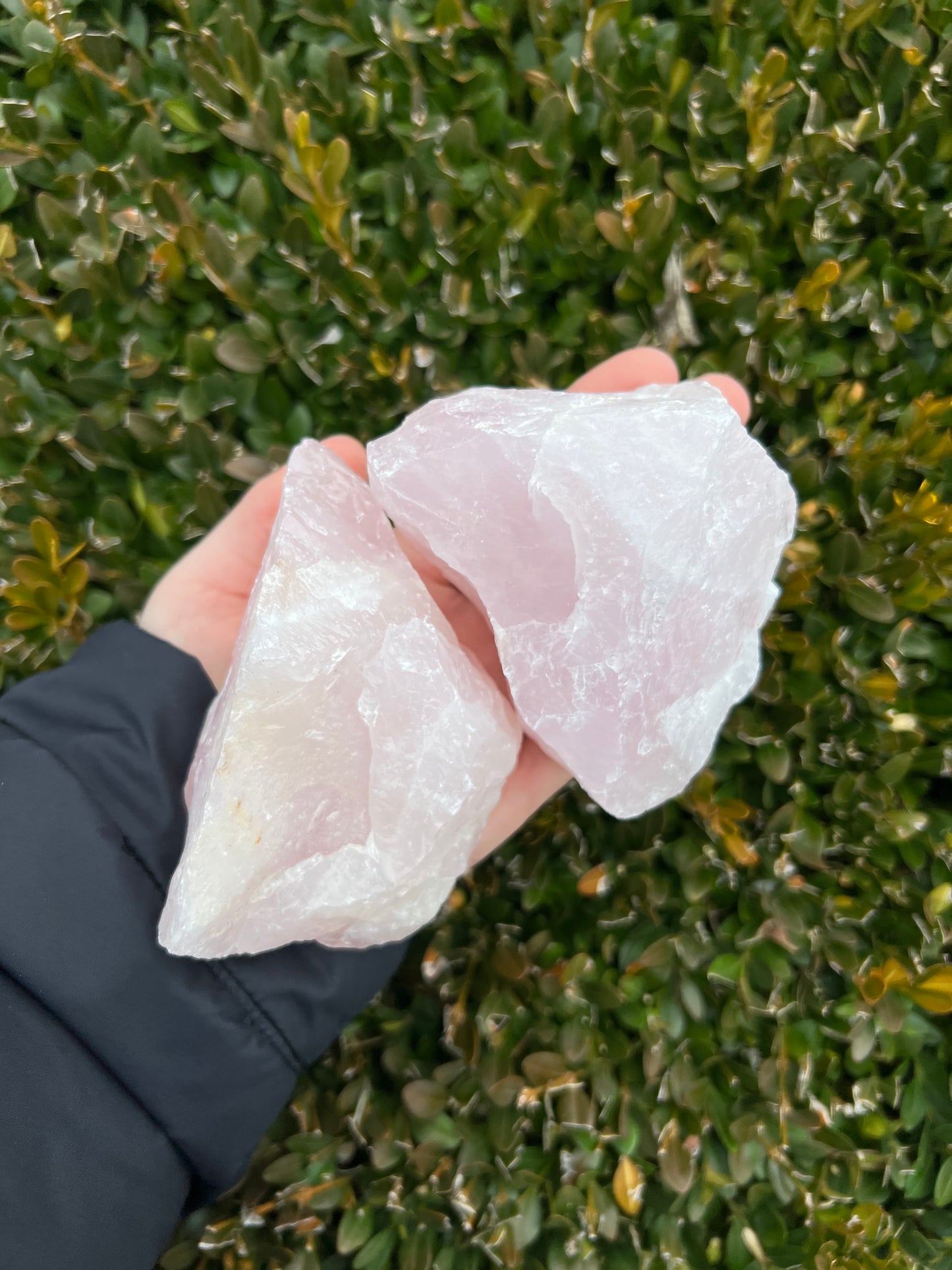 Rose Quartz Raw Pieces