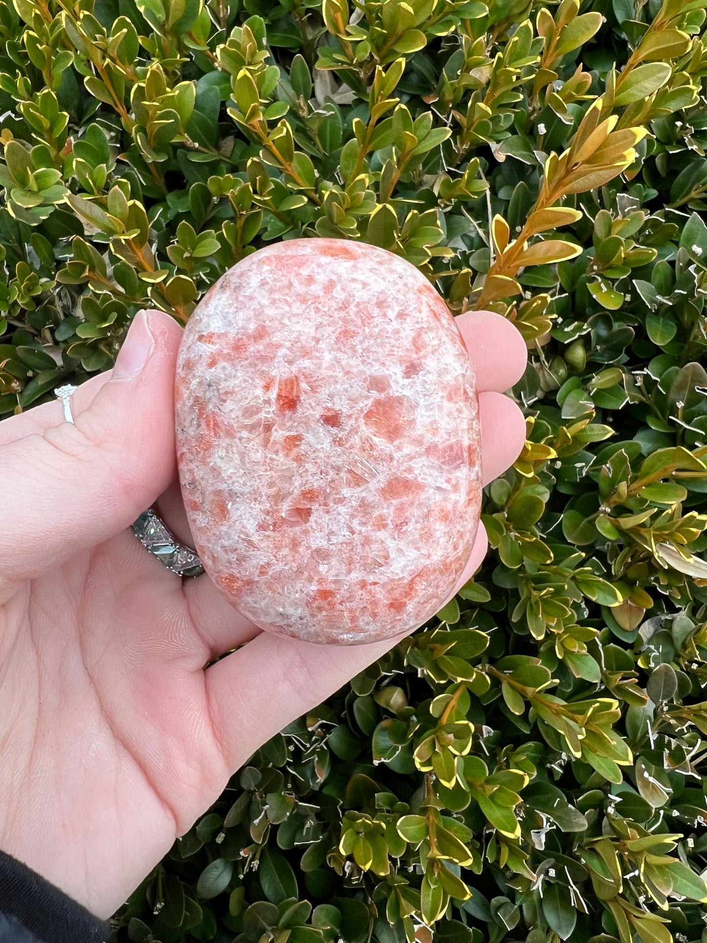 Sunstone Palmstones