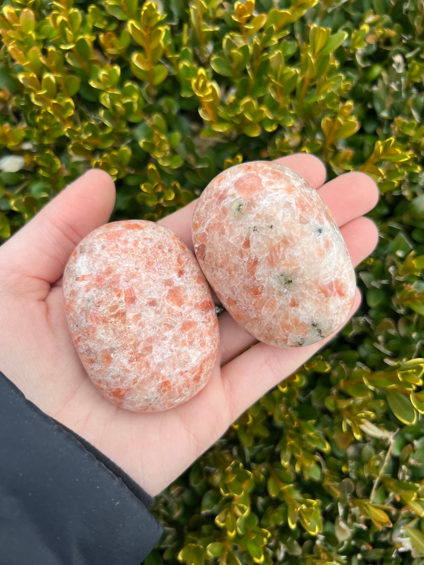 Sunstone Palmstones