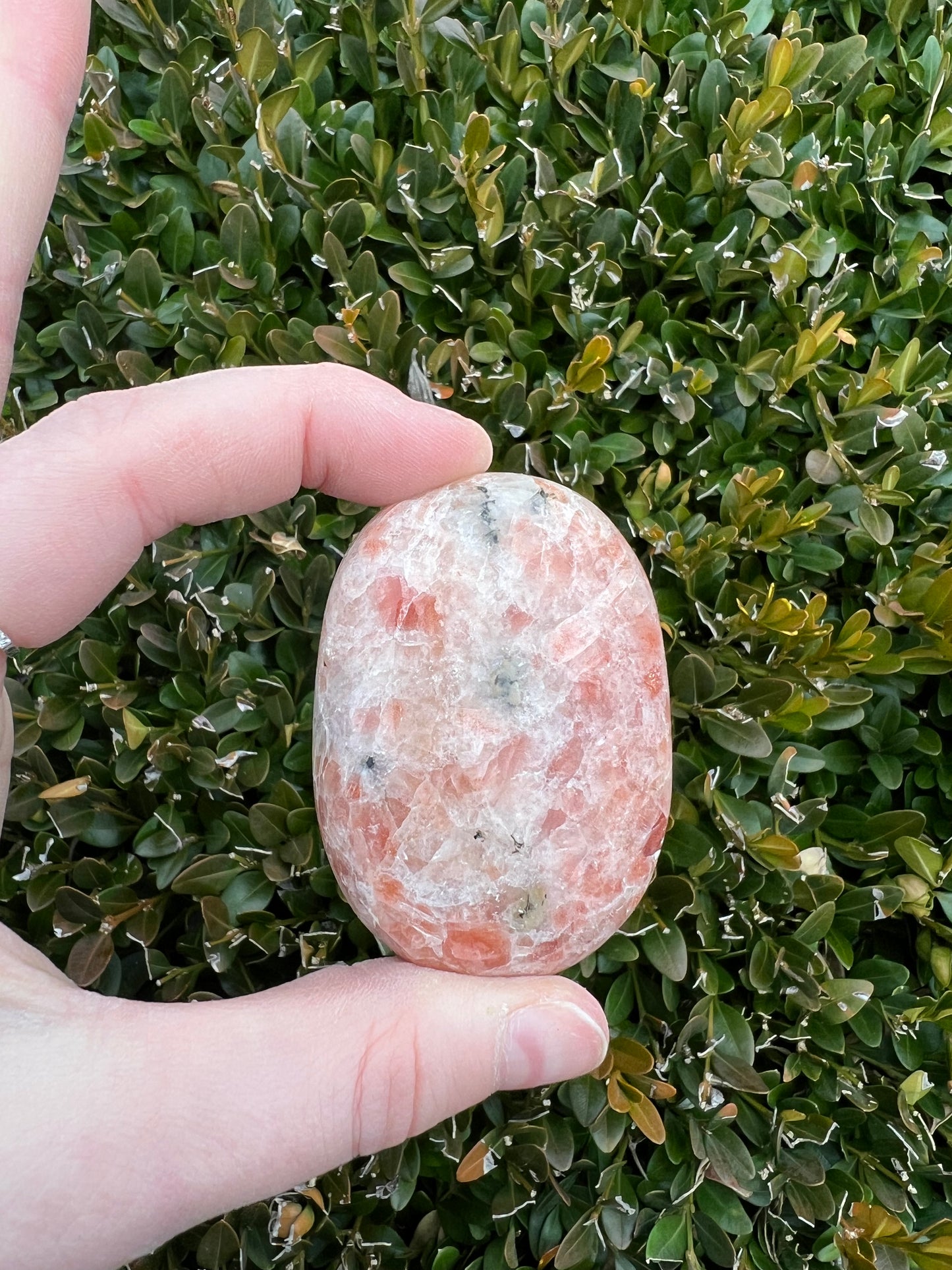 Sunstone Palmstones