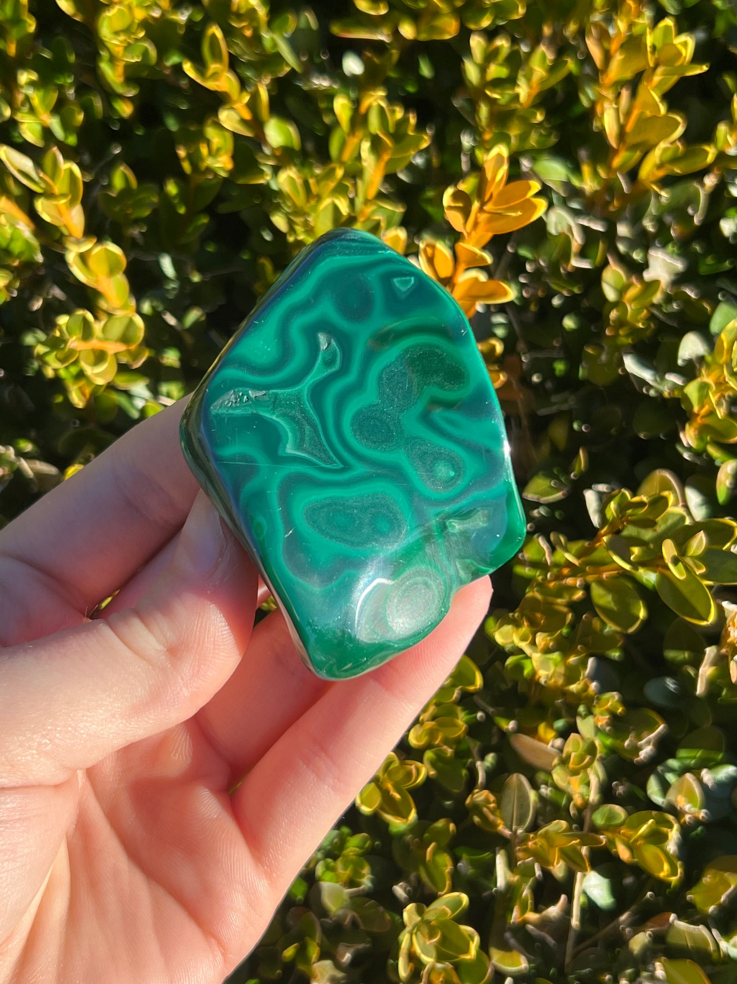 Malachite free forms