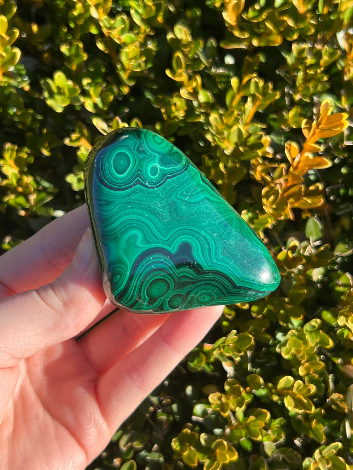 Malachite free forms