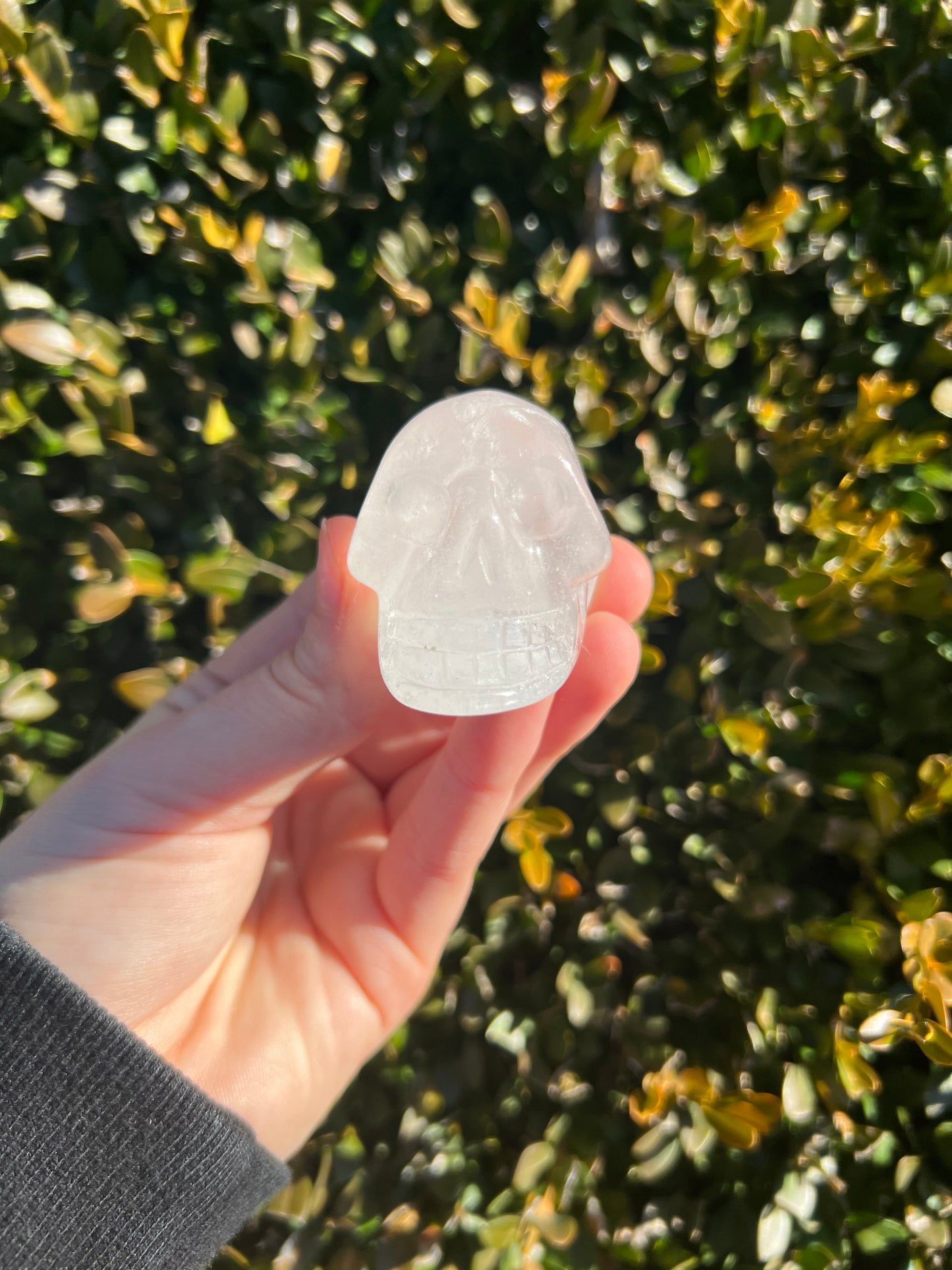 Clear Quartz Skulls