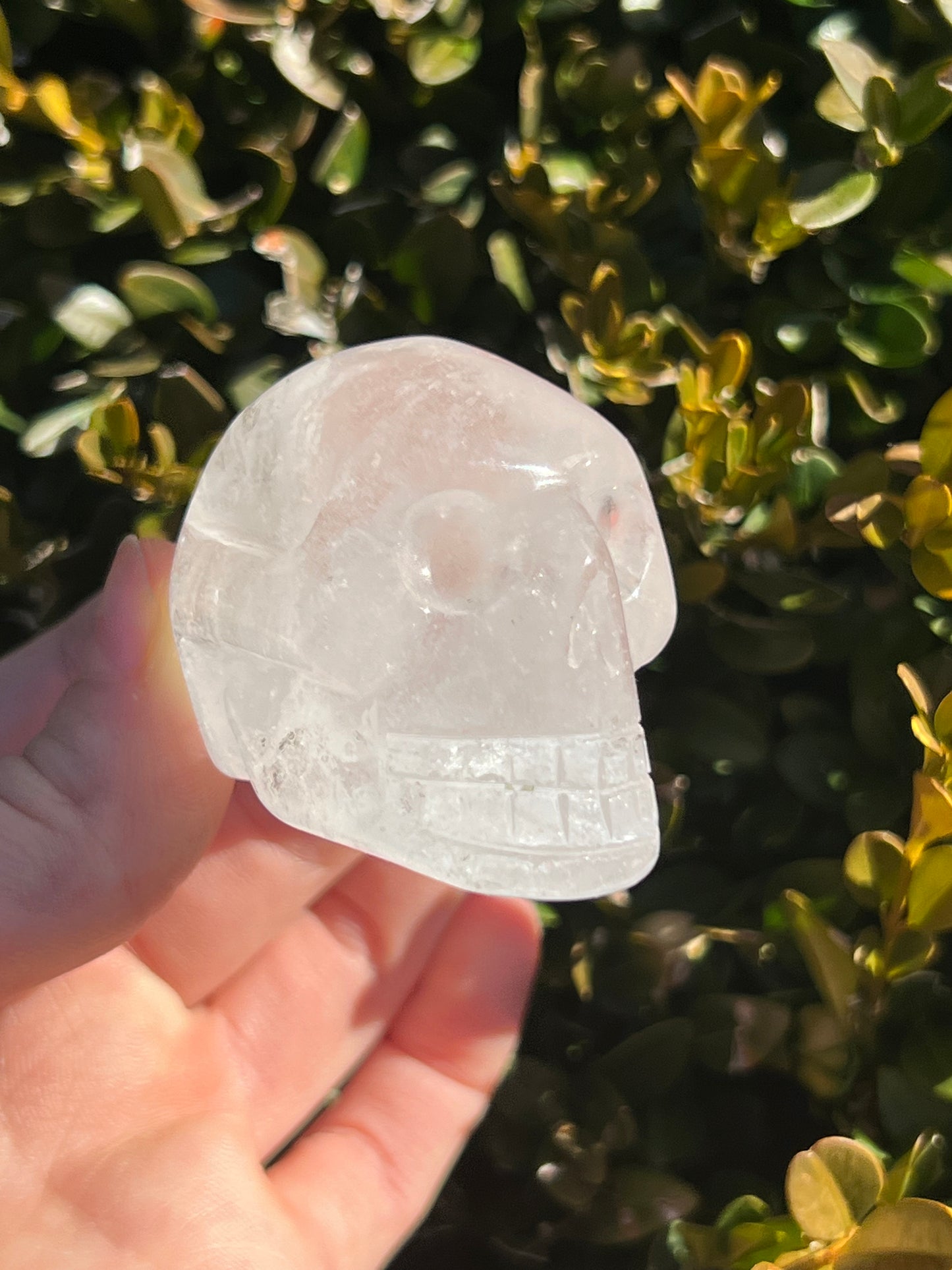 Clear Quartz Skulls