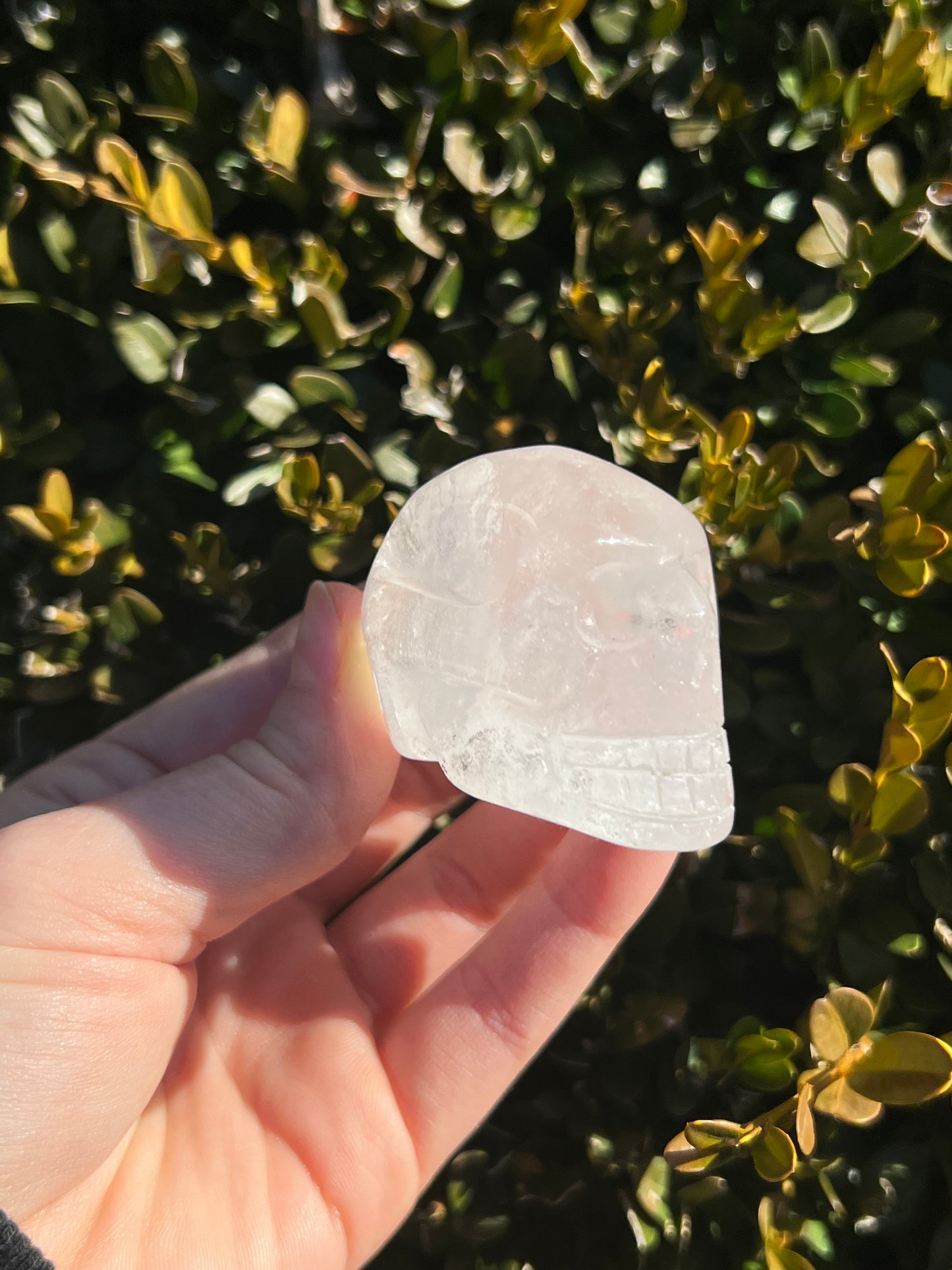 Clear Quartz Skulls