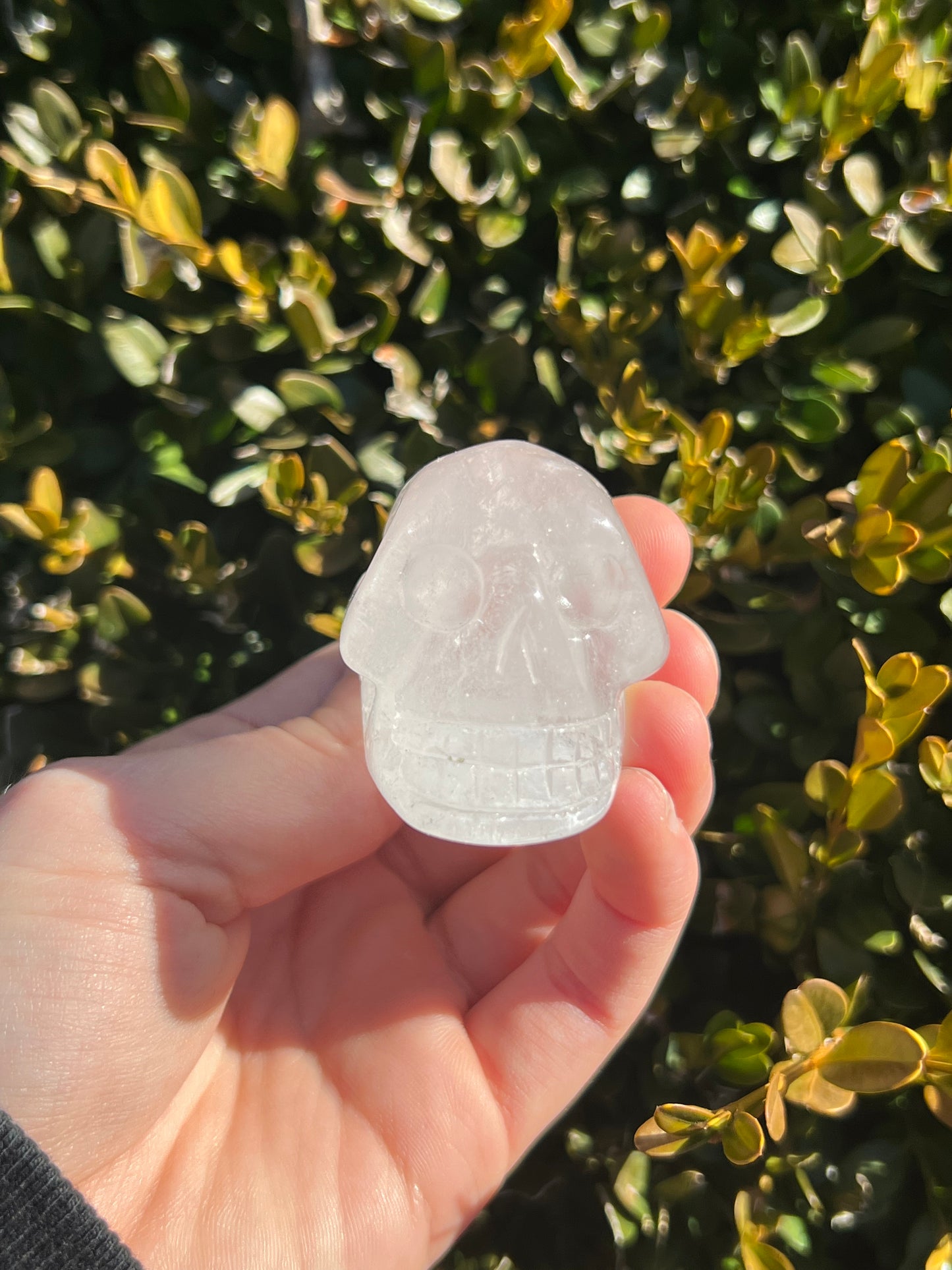 Clear Quartz Skulls