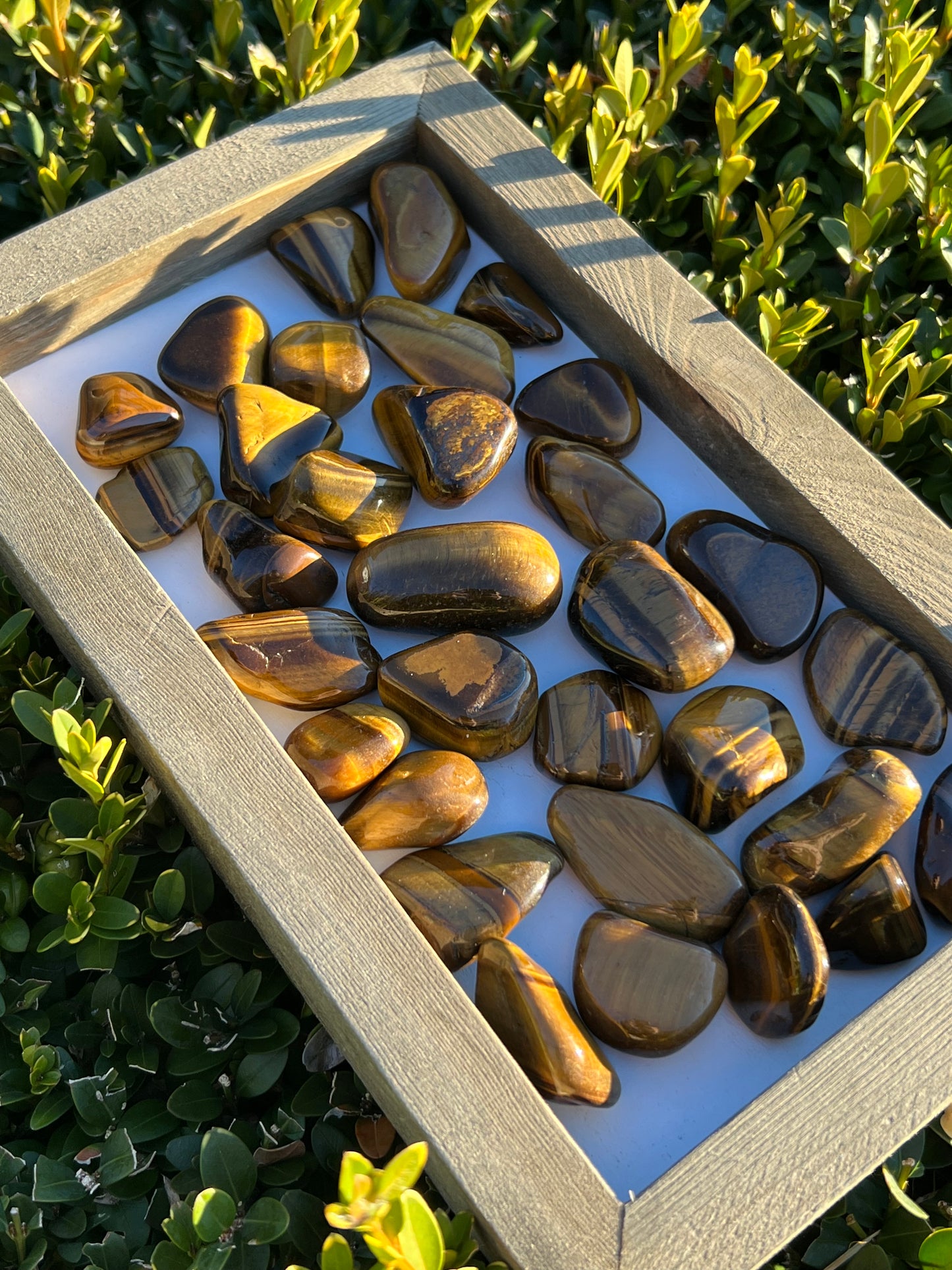 Gold Tigers Eye Tumbles