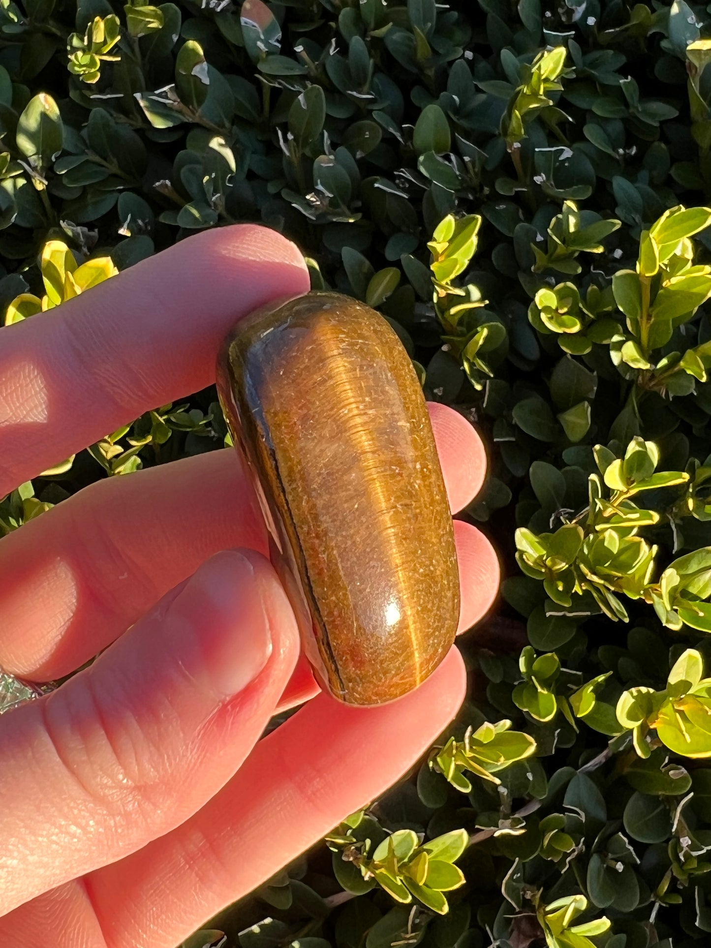 Gold Tigers Eye Tumbles