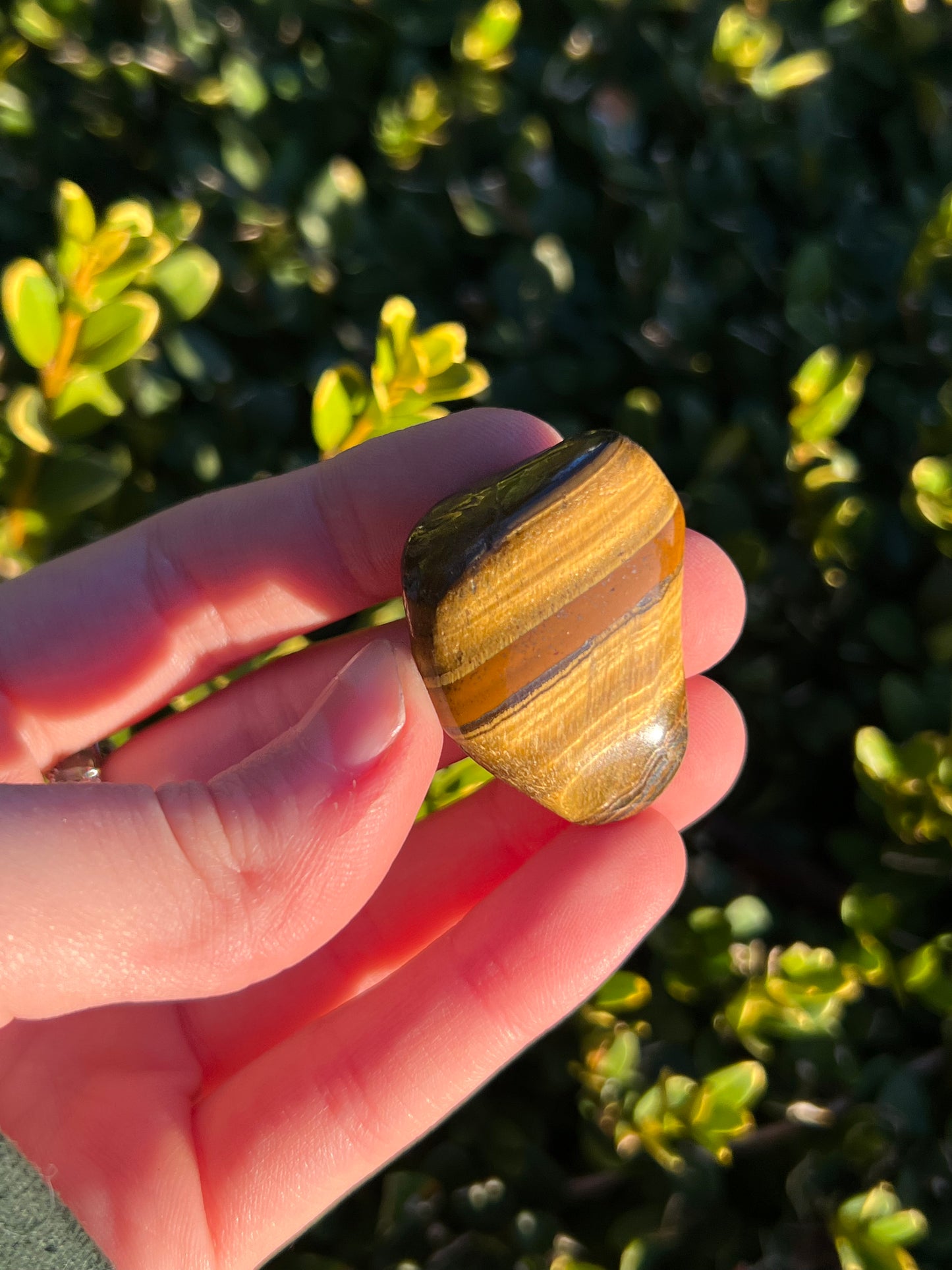 Gold Tigers Eye Tumbles