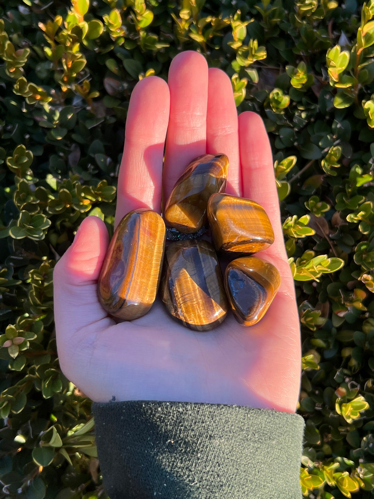 Gold Tigers Eye Tumbles