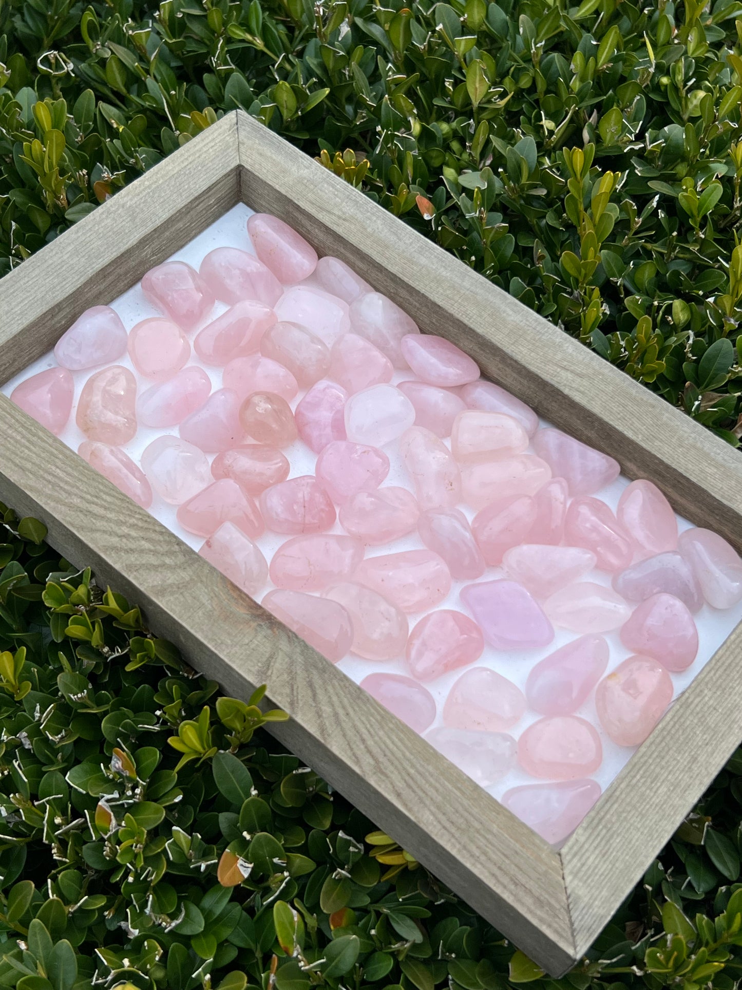 Rose Quartz Tumbles