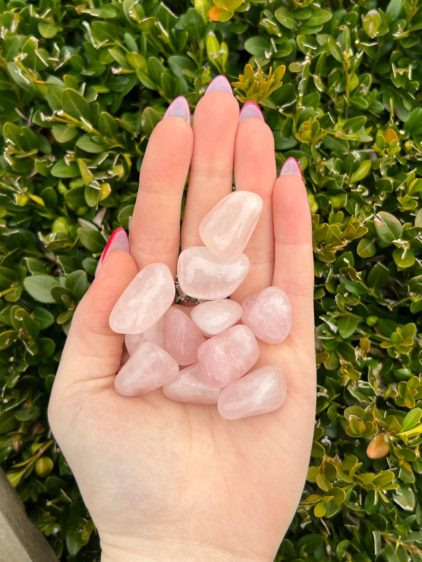 Rose Quartz Tumbles