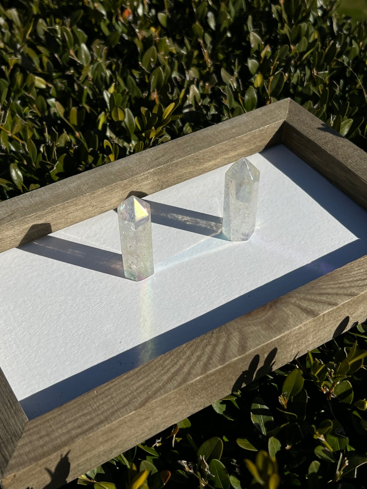 Angel Aura Clear Quartz points