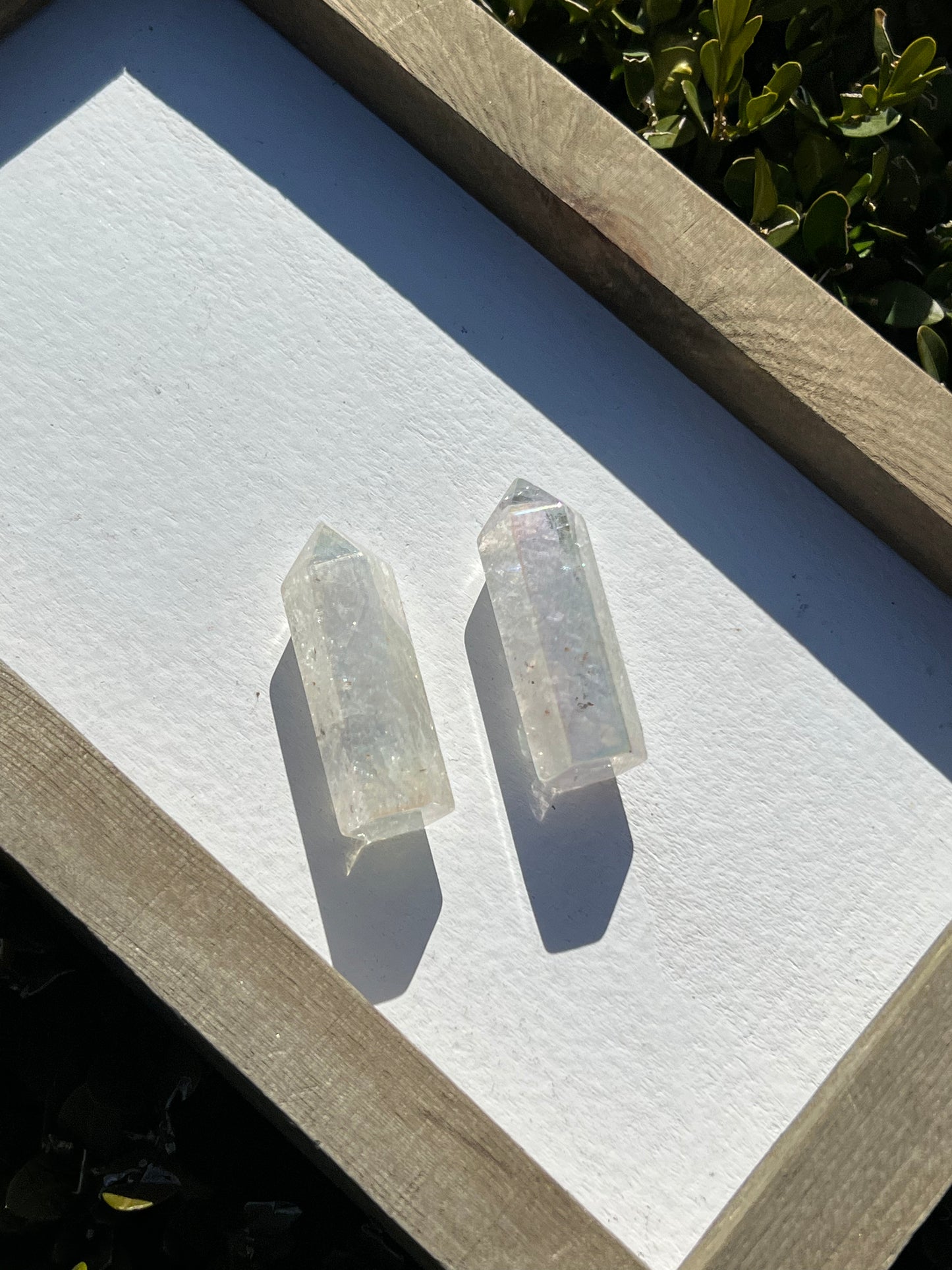 Angel Aura Clear Quartz points