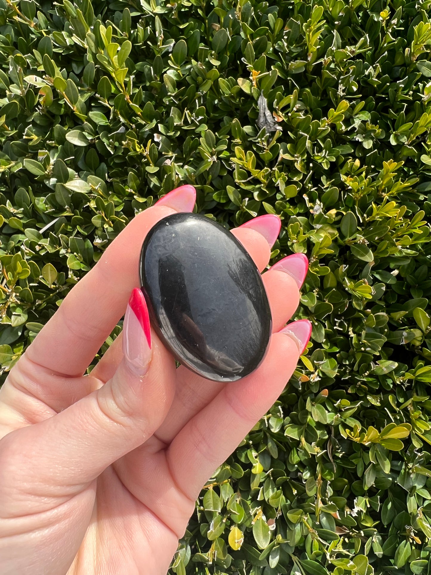 Shungite Palm Stone