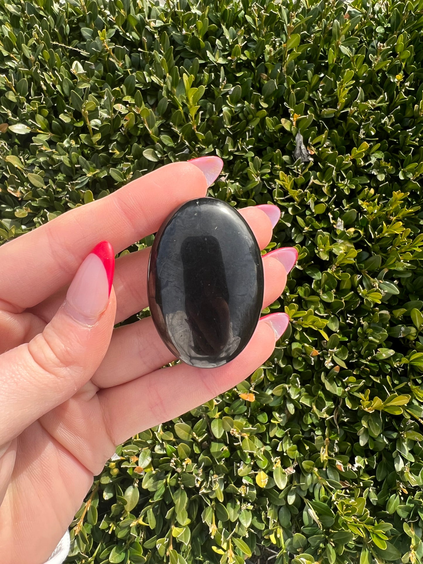 Shungite Palm Stone