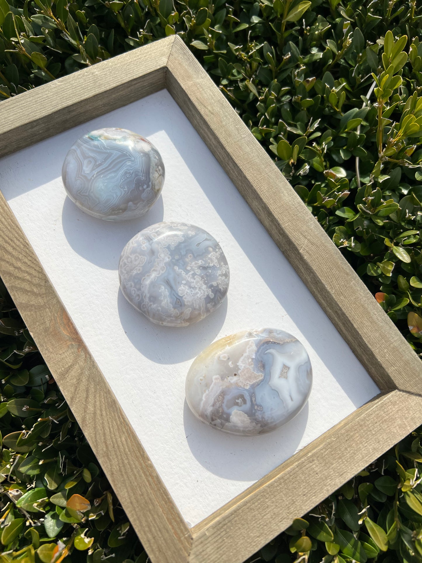 Flower Agate Palm Stones