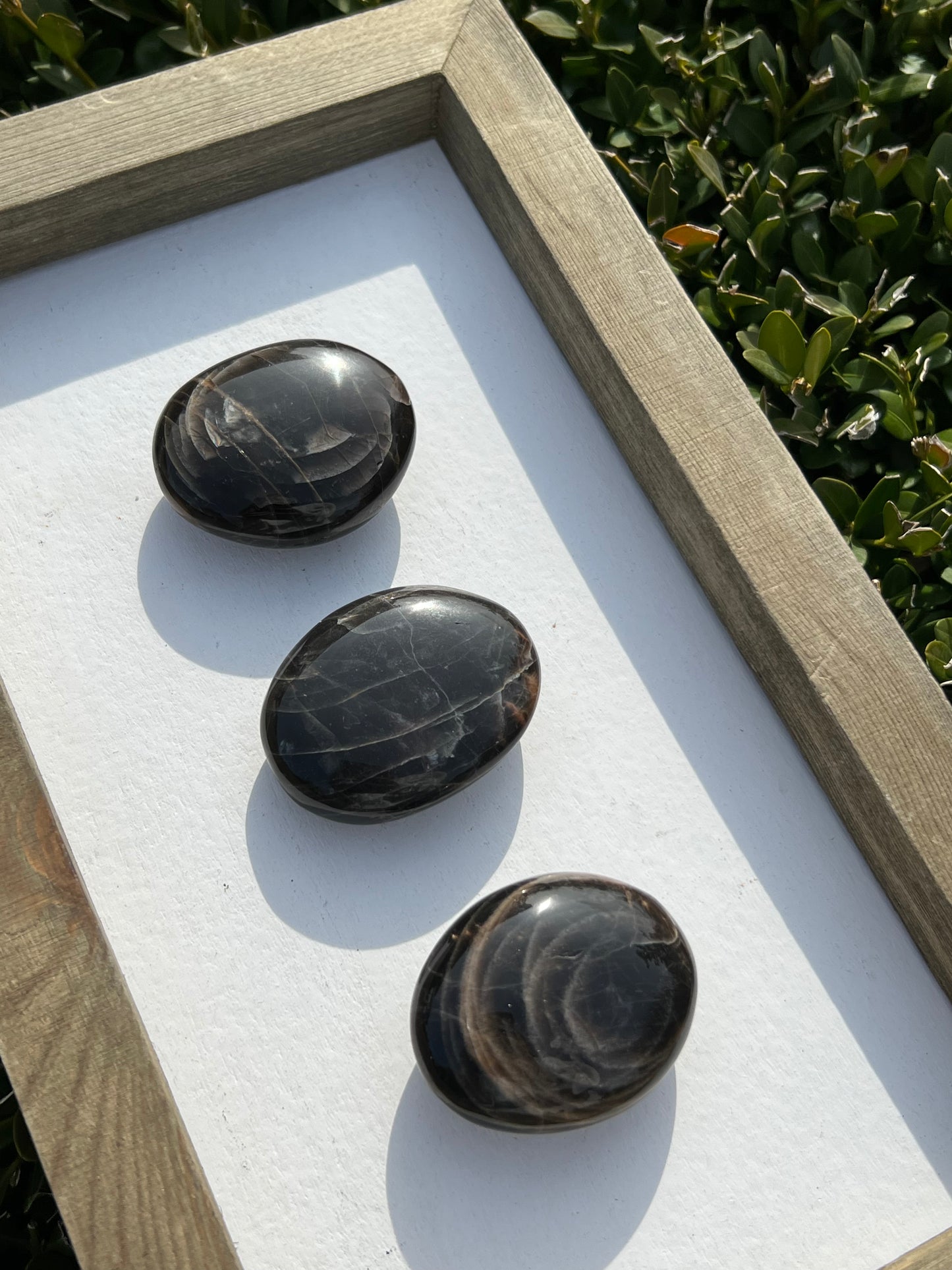 Black Moonstone Palm Stones