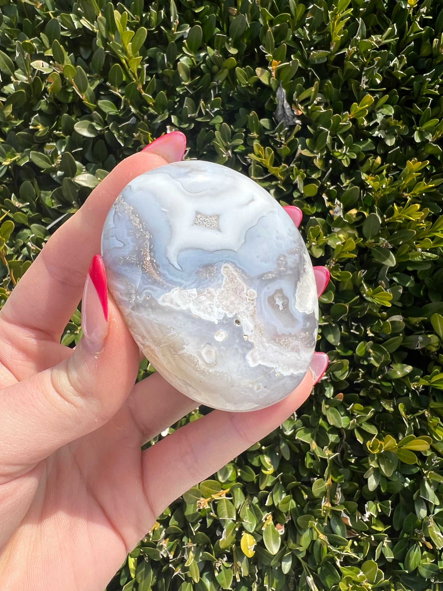 Flower Agate Palm Stones